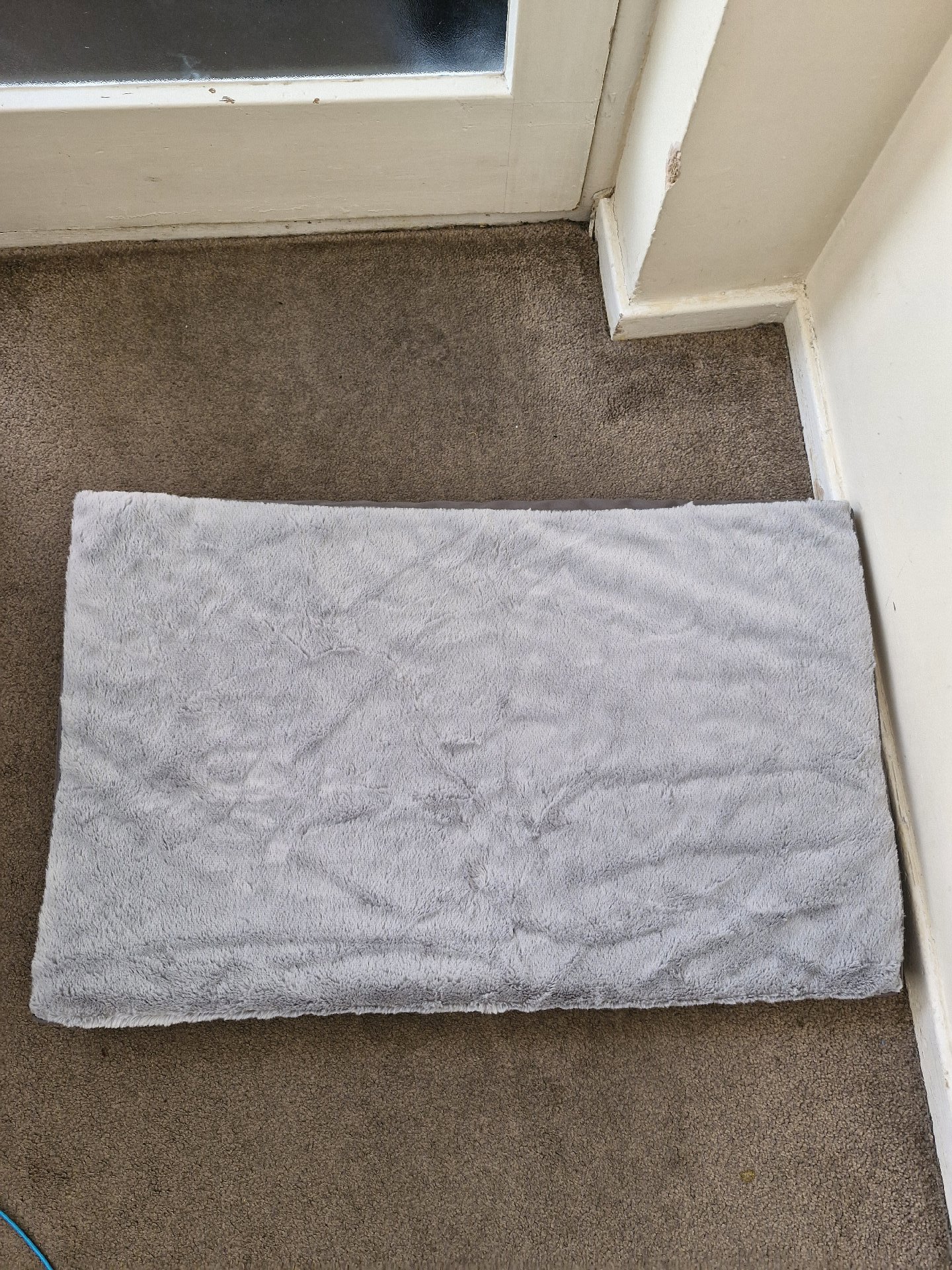 Ksita Grey Pet Bed Cushion 35x22 Inch, Ksita, 35x22 Inch, New condition — preloved on SilentSale®
