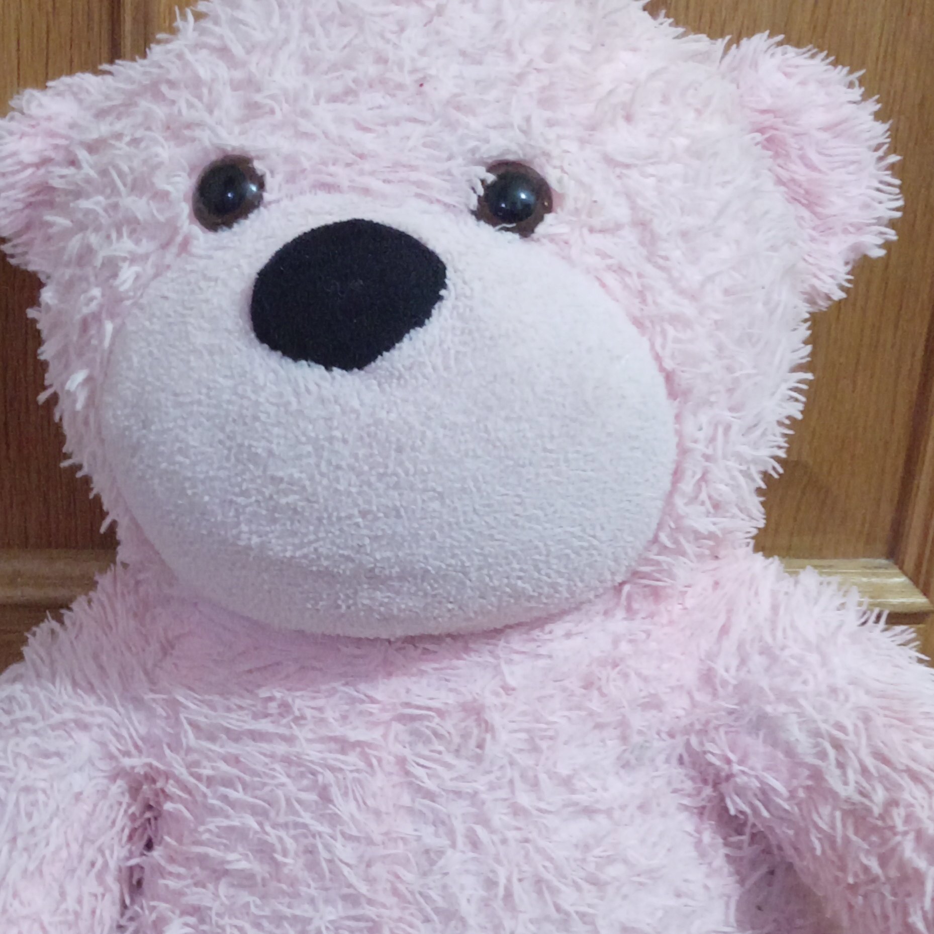 Pink Plush Teddy Bear Soft Toy, PINK, One Size, Excellent condition — preloved on SilentSale®