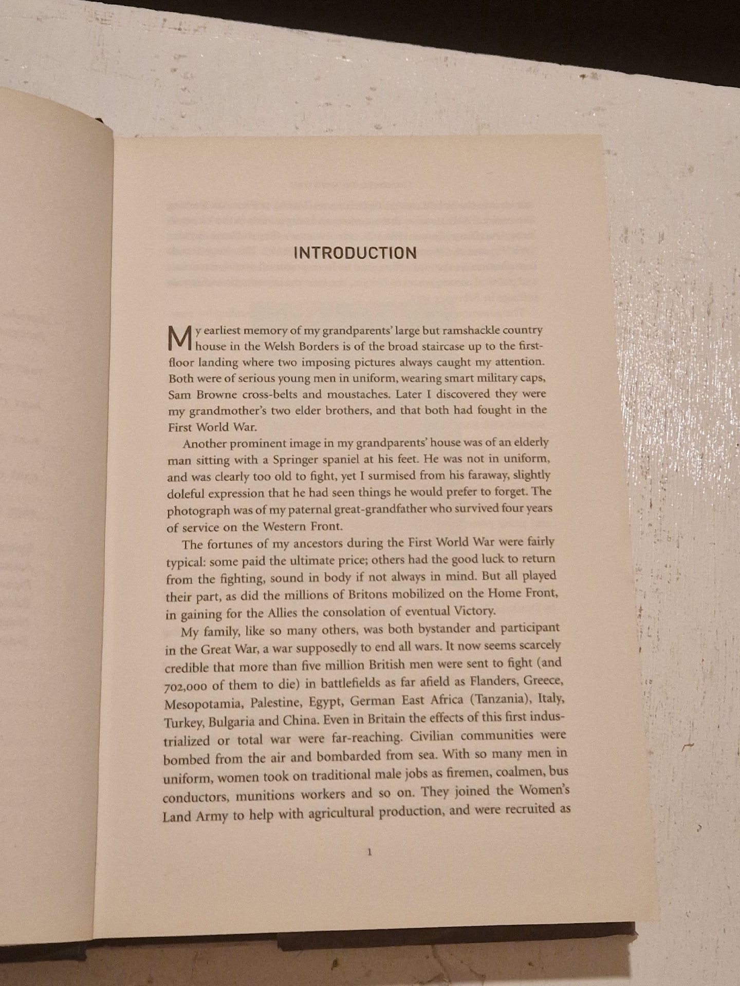 100 Days to Victory by Saul David, Unbranded, Hardback, Excellent condition — preloved on SilentSale®