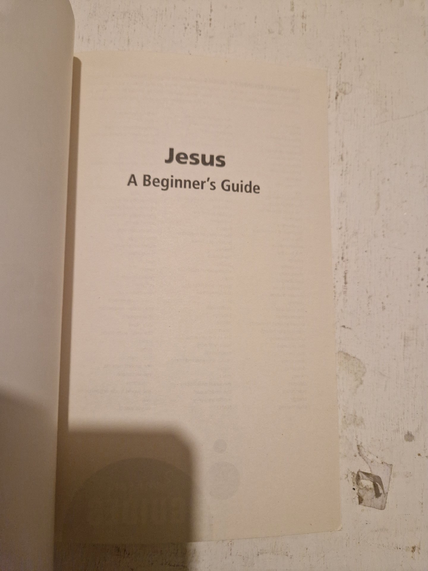Paperback book titled 'Jesus: A Beginner's Guide' by Anthony Le Donne, Bloomsbury Publishing Plc, One Size, Excellent condition — preloved on SilentSale®
