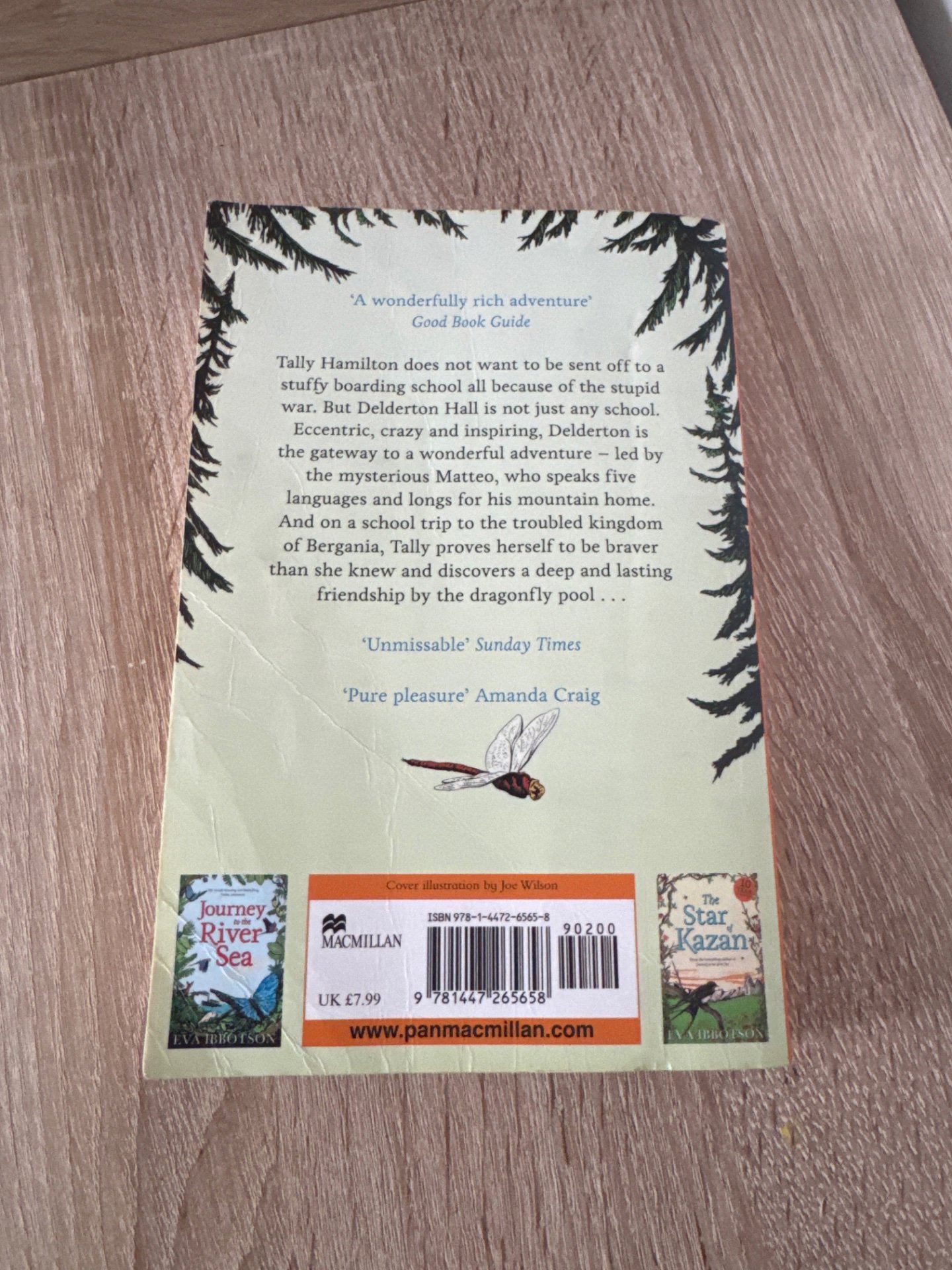 The Dragonfly Pool — Eva Ibbotson, Pan Macmillan, One Size, Excellent condition — preloved on SilentSale®
