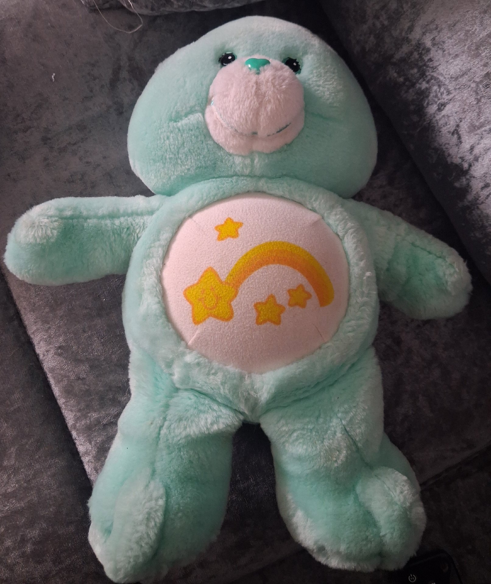 'WISH BEAR' Care Bears Plush Soft Toy Green Bear with Rainbow Heart, Care Bears, One Size, Good condition — preloved on SilentSale®