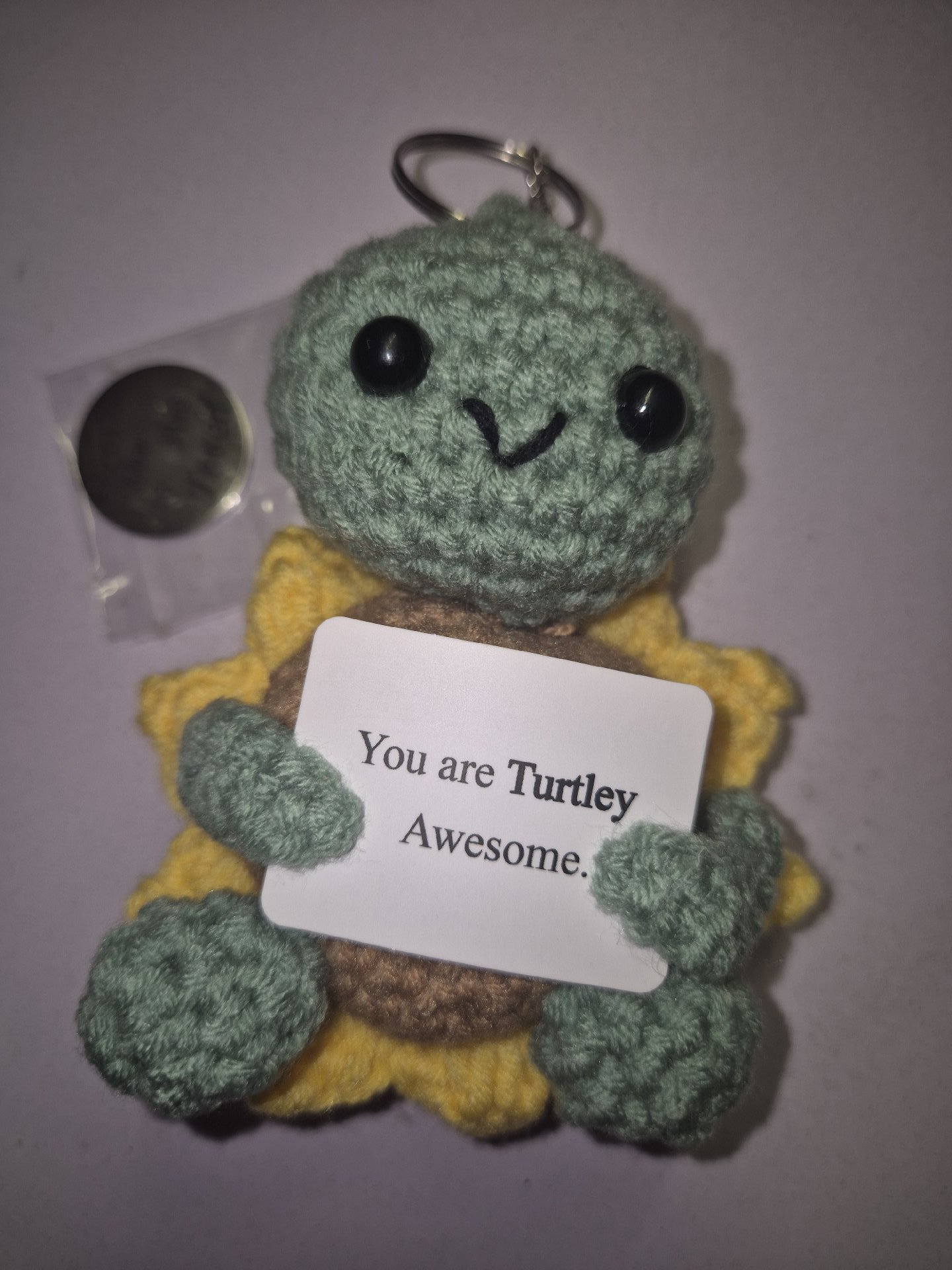 Crochet Turtle Keyring with 'You are Turtley Awesome' Sign, Unbranded, One Size, Excellent condition — preloved on SilentSale®