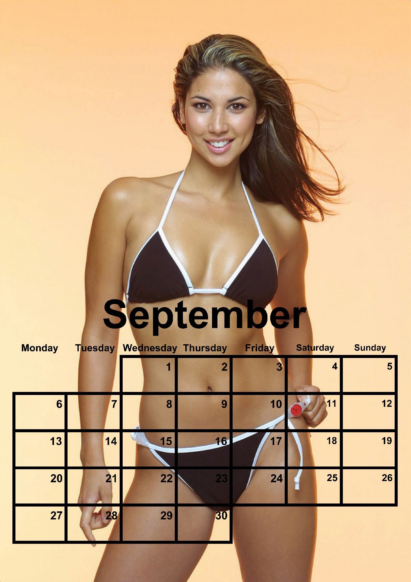 Leilani Dowding 2027 A4 Calendar New, Handmade, Paperback, Excellent condition — preloved on SilentSale®