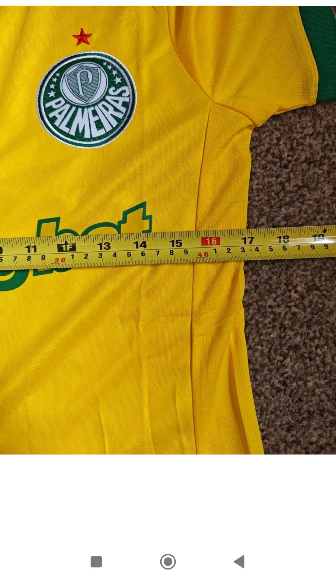 Palmeiras 3rd Jersey boys 16+5 years old. BNWT , Puma, 16", New condition — preloved on SilentSale®