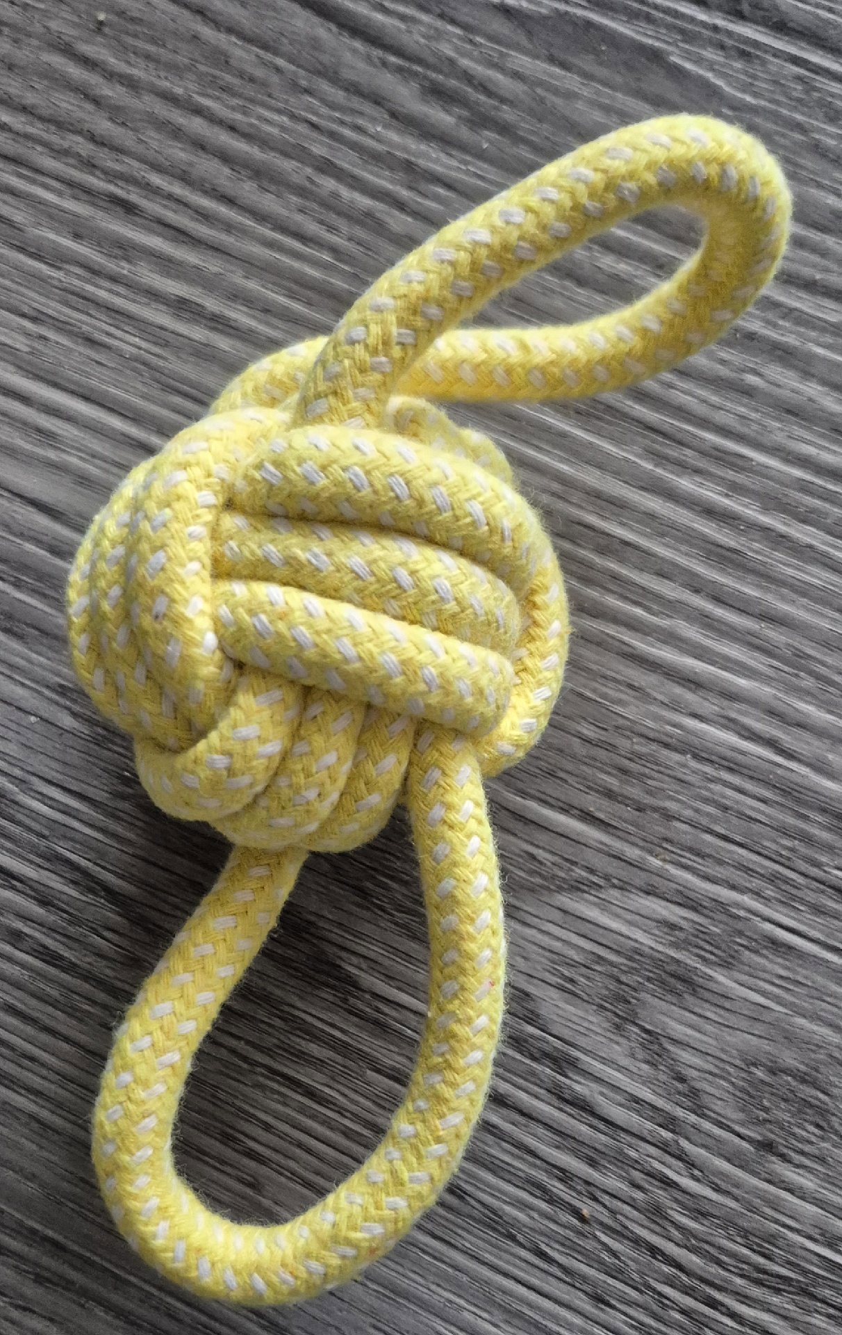 Set of 5 Colourful Rope Dog Chew Toys, Unbranded, One Size, New condition — preloved on SilentSale®