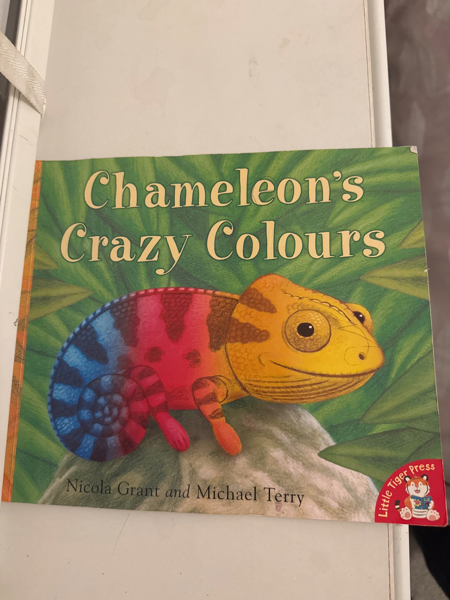 Chameleon's Crazy Colours, Excellent, Unbranded, One Size, Excellent condition — preloved on SilentSale®