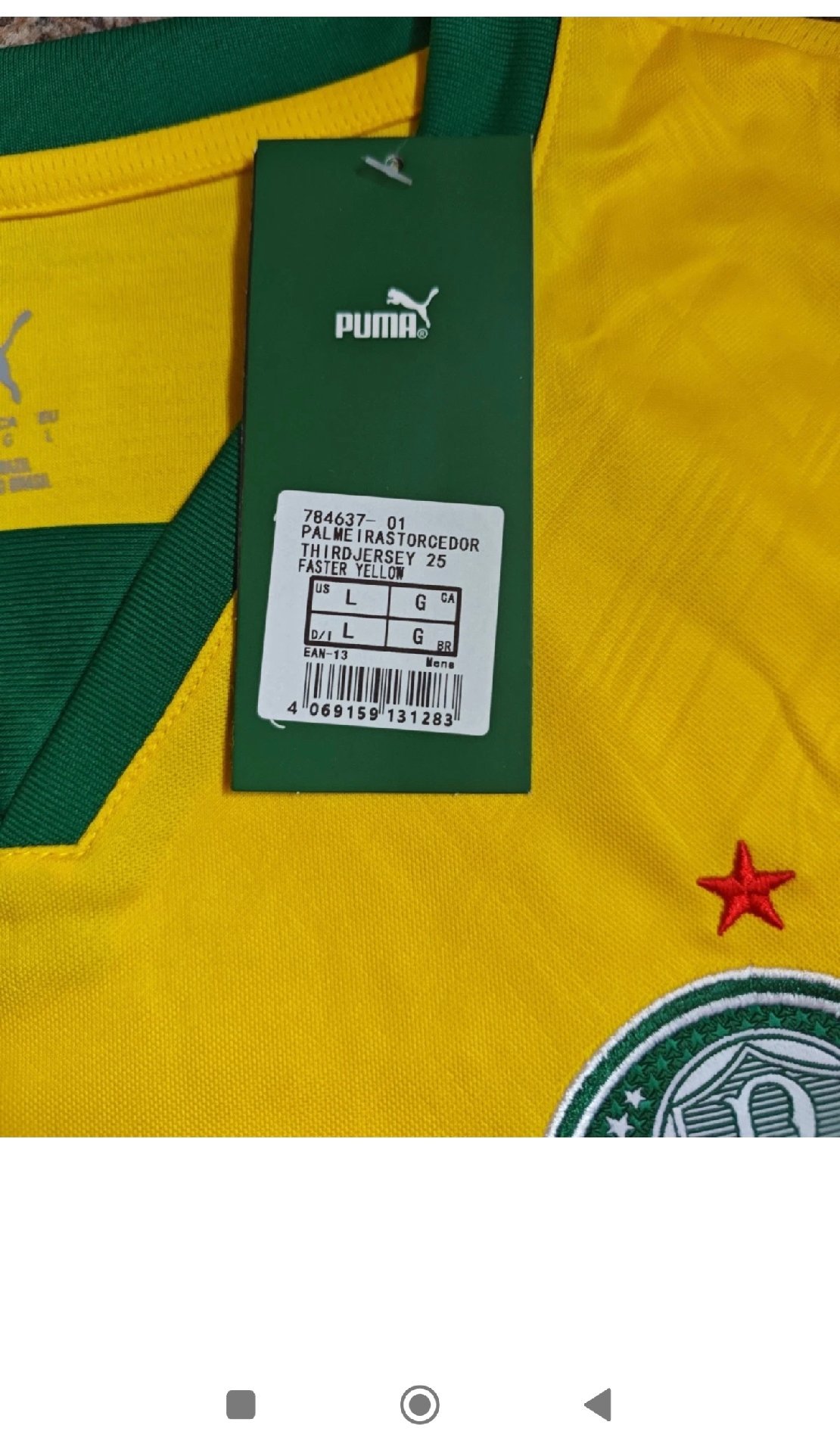 Palmeiras 3rd Jersey boys 16+5 years old. BNWT , Puma, 16", New condition — preloved on SilentSale®