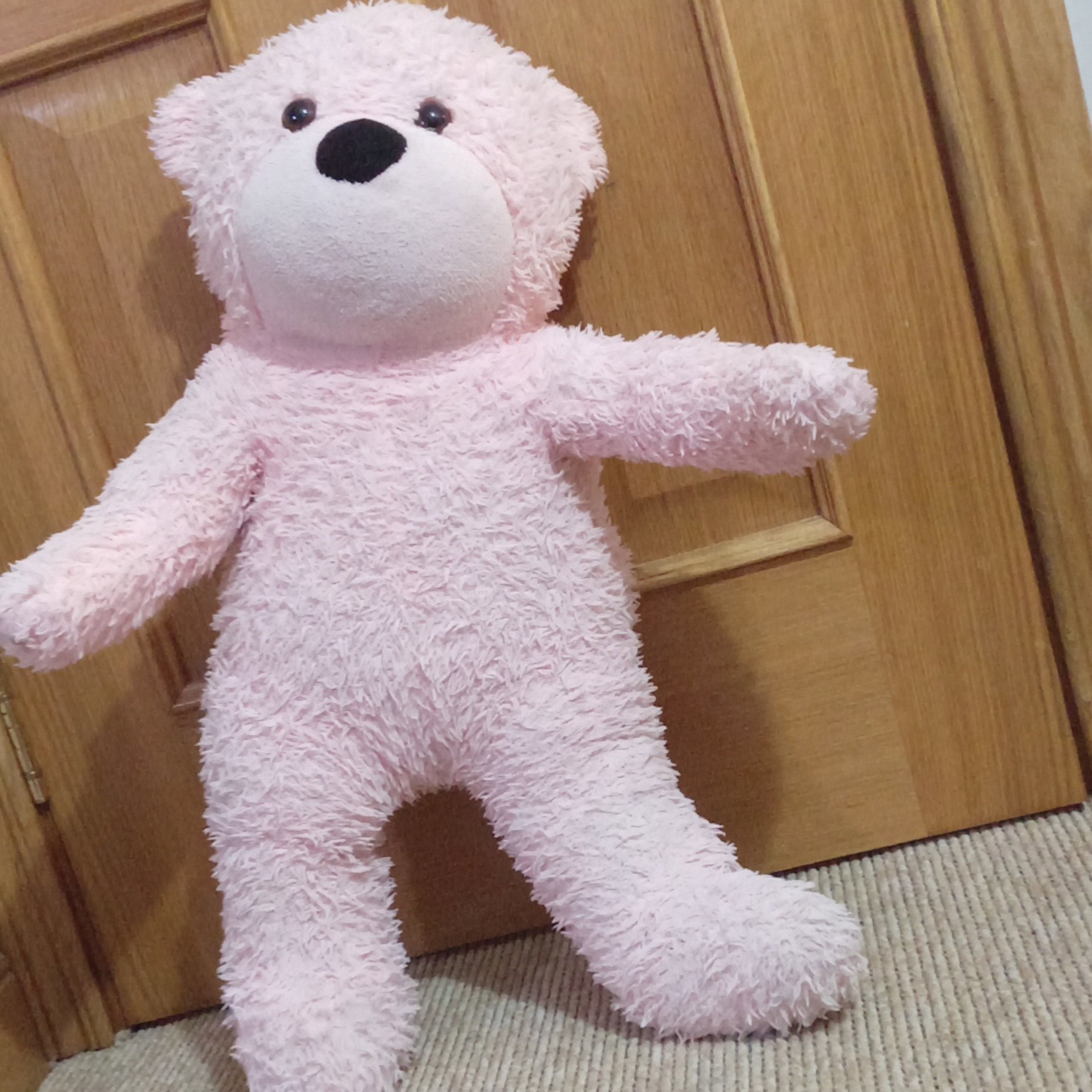 Pink Plush Teddy Bear Soft Toy, PINK, One Size, Excellent condition — preloved on SilentSale®