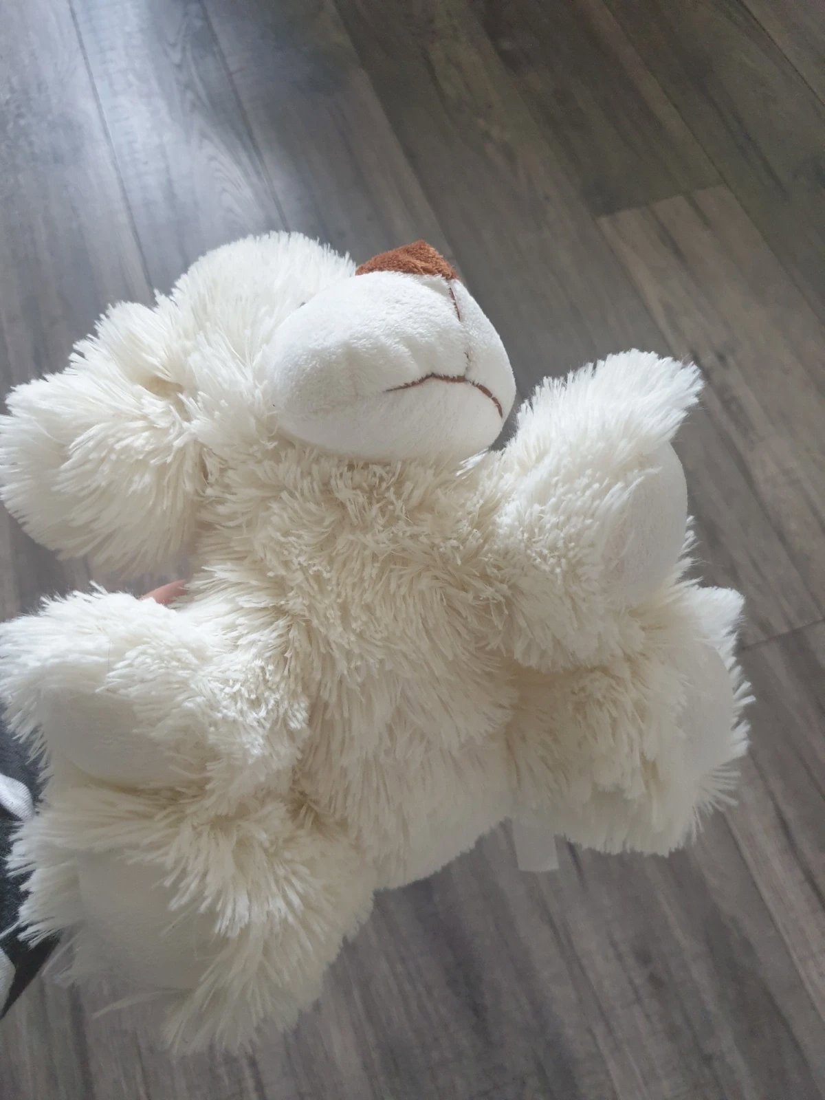Fluffy dog, Unbranded, One Size, Excellent condition — preloved on SilentSale®