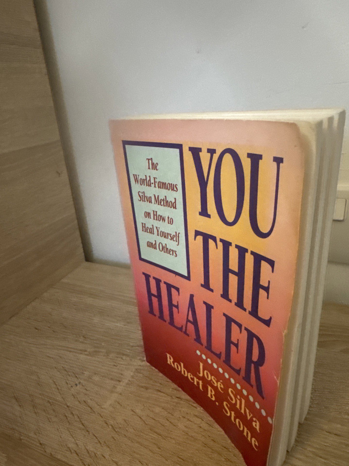 You the healer — José Silva, New World Library, One Size, Good condition — preloved on SilentSale®