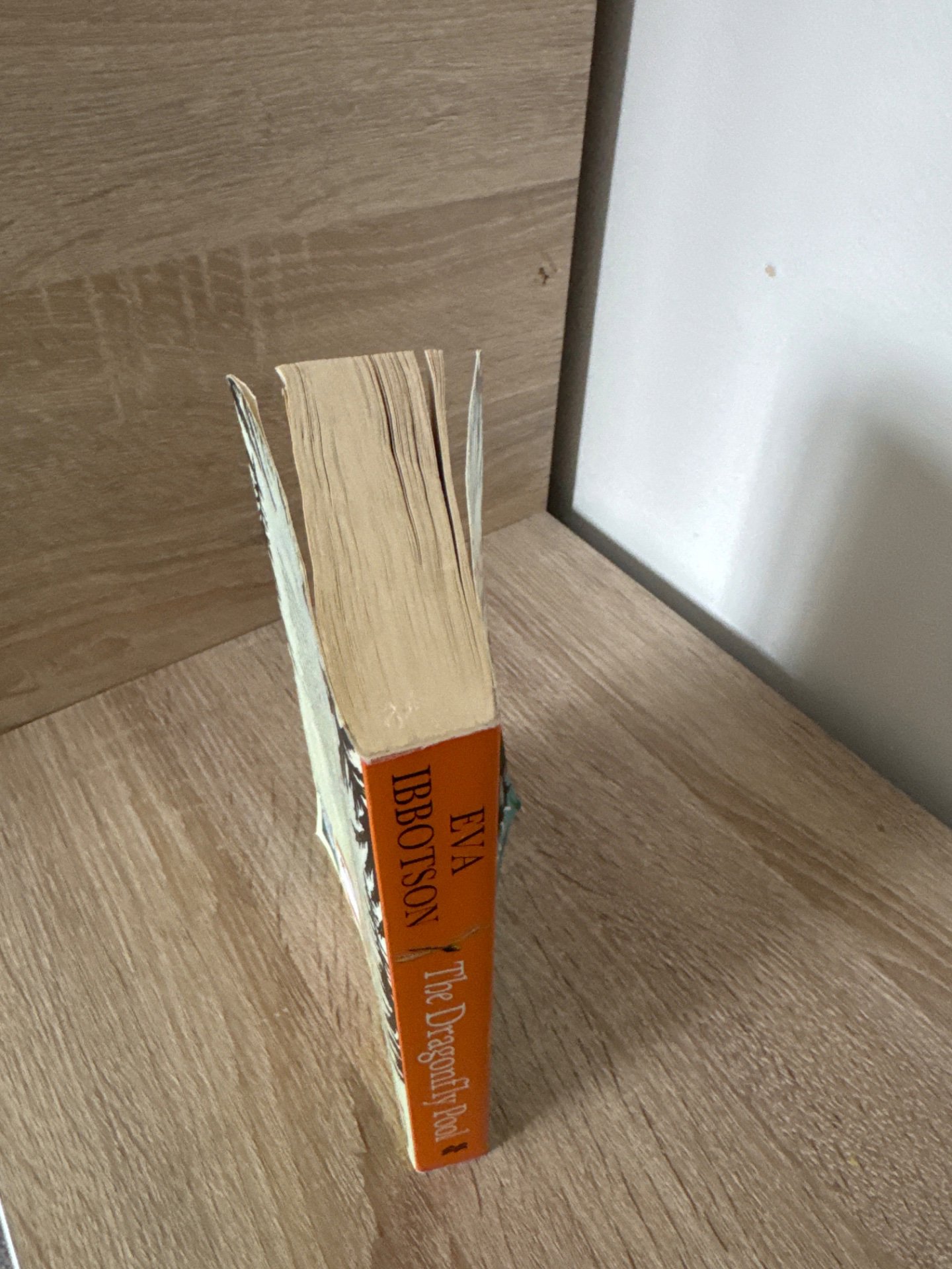 The Dragonfly Pool — Eva Ibbotson, Pan Macmillan, One Size, Excellent condition — preloved on SilentSale®