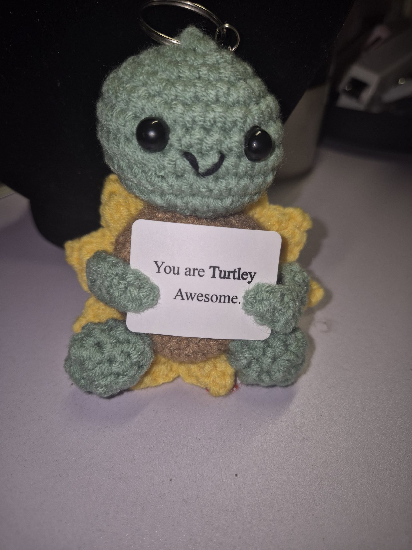 Crochet Turtle Keyring with 'You are Turtley Awesome' Sign, Unbranded, One Size, Excellent condition — preloved on SilentSale®