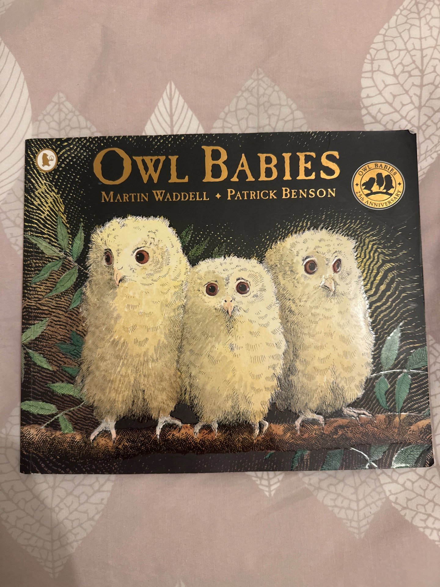 Owl Babies — Martin Waddell, Walker, One Size, Excellent condition — preloved on SilentSale®