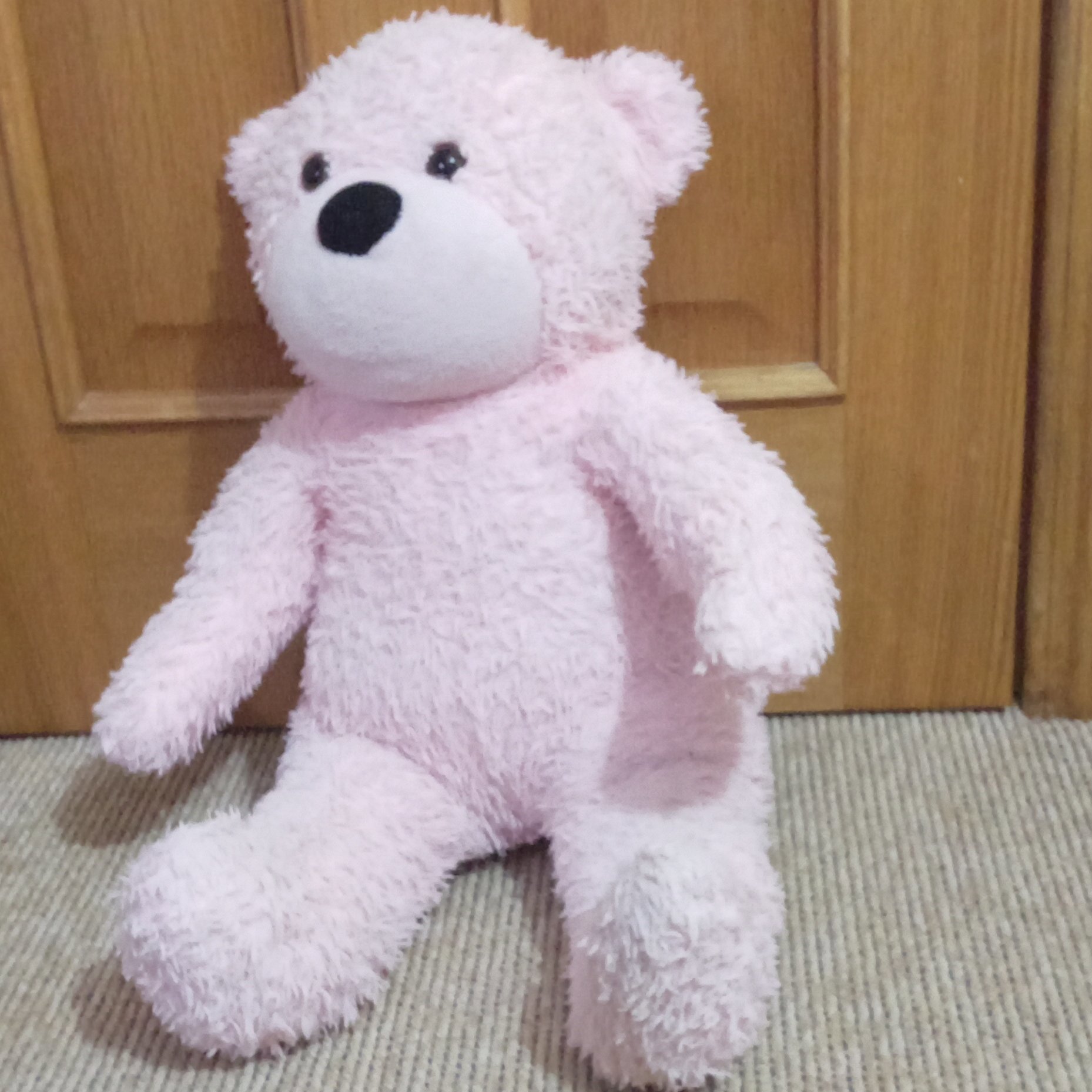 Pink Plush Teddy Bear Soft Toy, PINK, One Size, Excellent condition — preloved on SilentSale®
