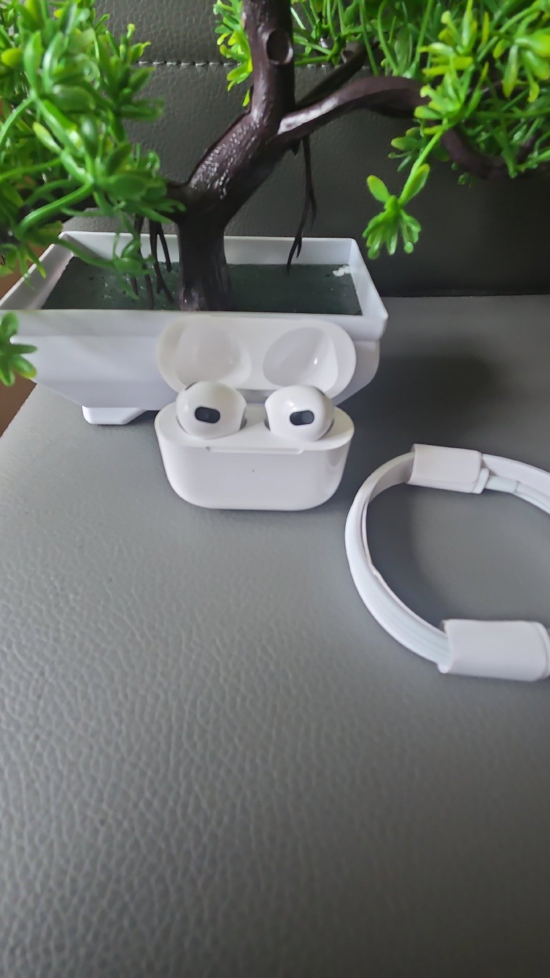 Airpods 3 with Cable, Apple, One Size, Excellent condition — preloved on SilentSale®
