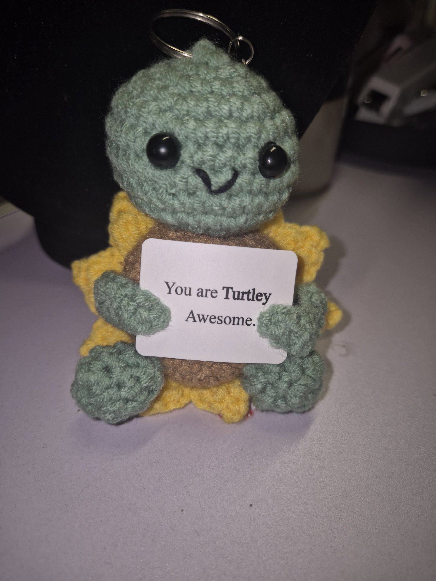 Crochet Turtle Keyring with 'You are Turtley Awesome' Sign, Unbranded, One Size, Excellent condition — preloved on SilentSale®