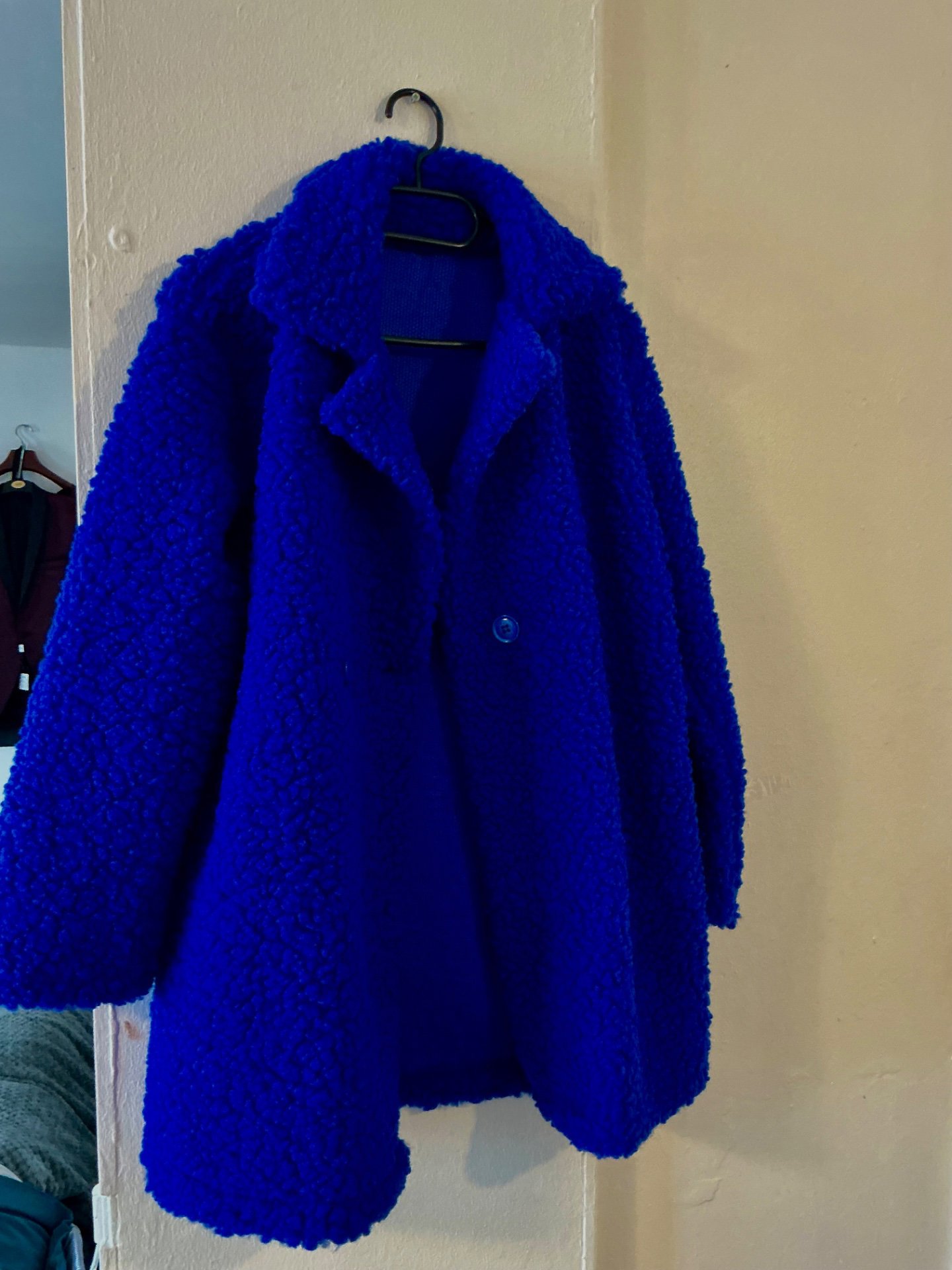 Blue Teddy Borg Coat with Buttons, Unbranded, M, New condition — preloved on SilentSale®