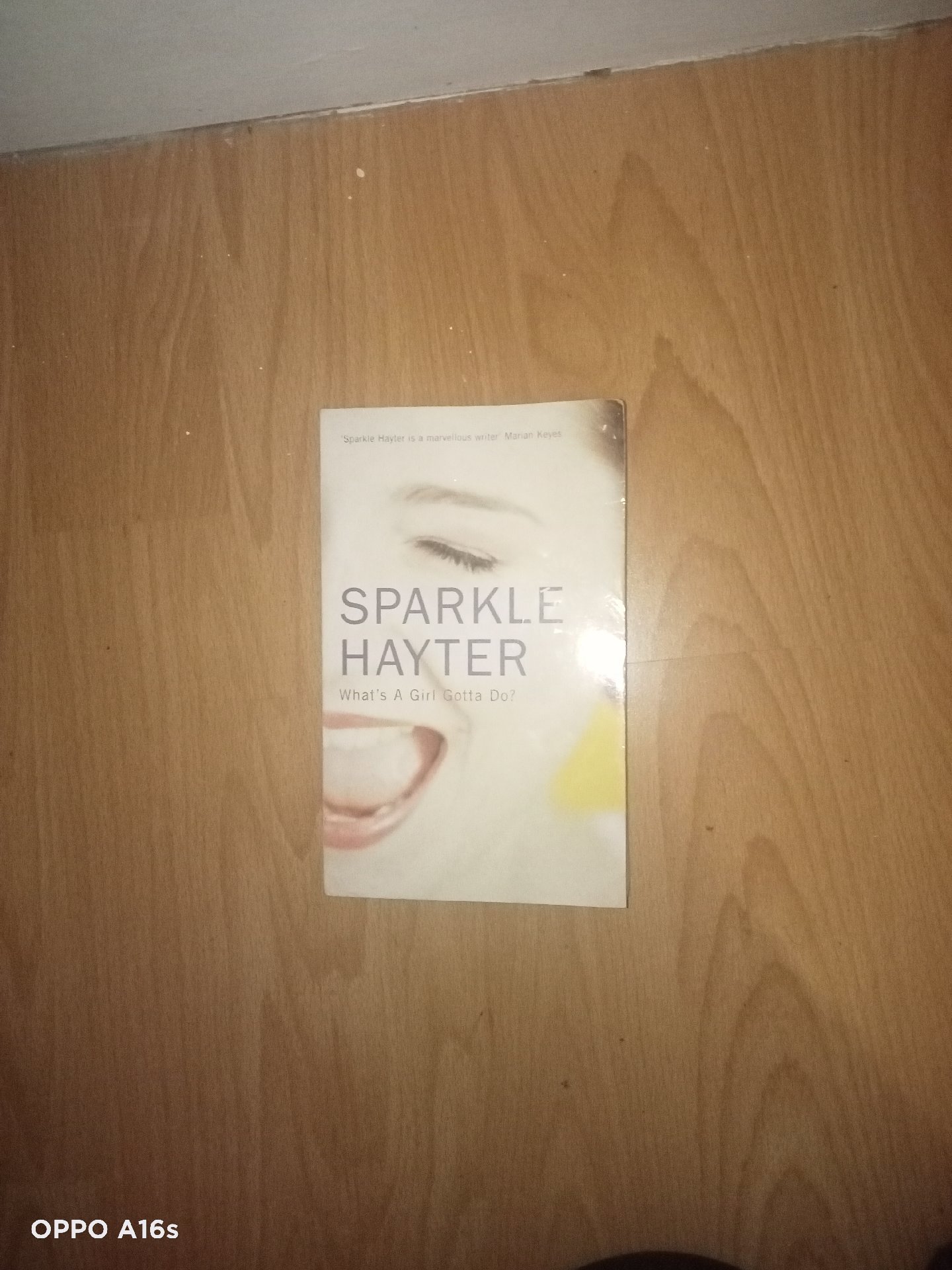 Sparkle Hayter What's A Girl Gotta Do? Paperback Book, Hayter, One Size, Good condition — preloved on SilentSale®