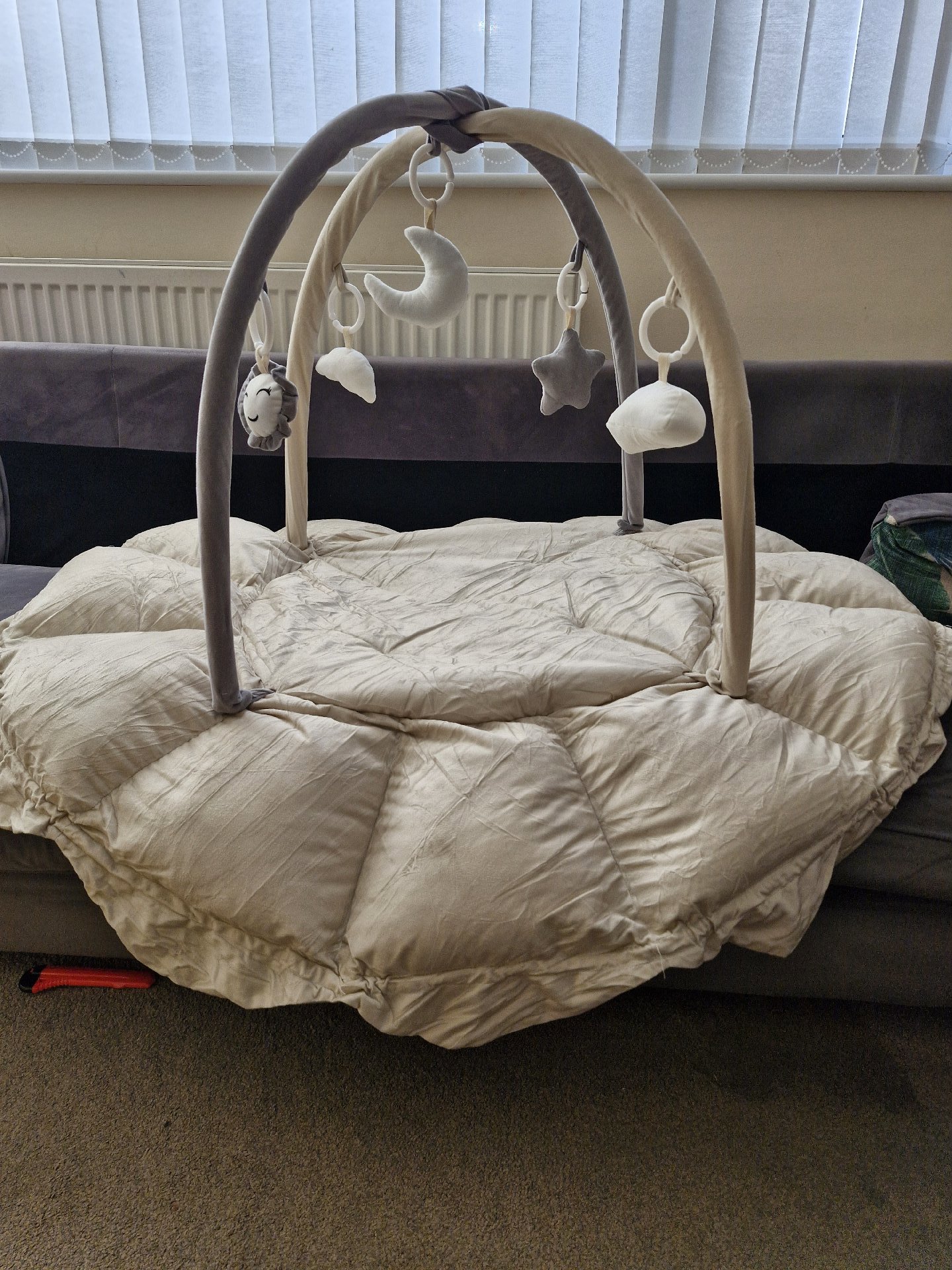 Baby Play Gym Soft Activity Mat with Hanging Toys, Unbranded, One Size, Like New condition — preloved on SilentSale®