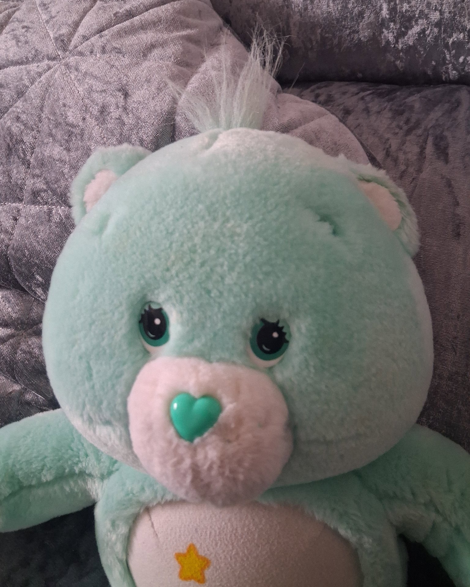 'WISH BEAR' Care Bears Plush Soft Toy Green Bear with Rainbow Heart, Care Bears, One Size, Good condition — preloved on SilentSale®