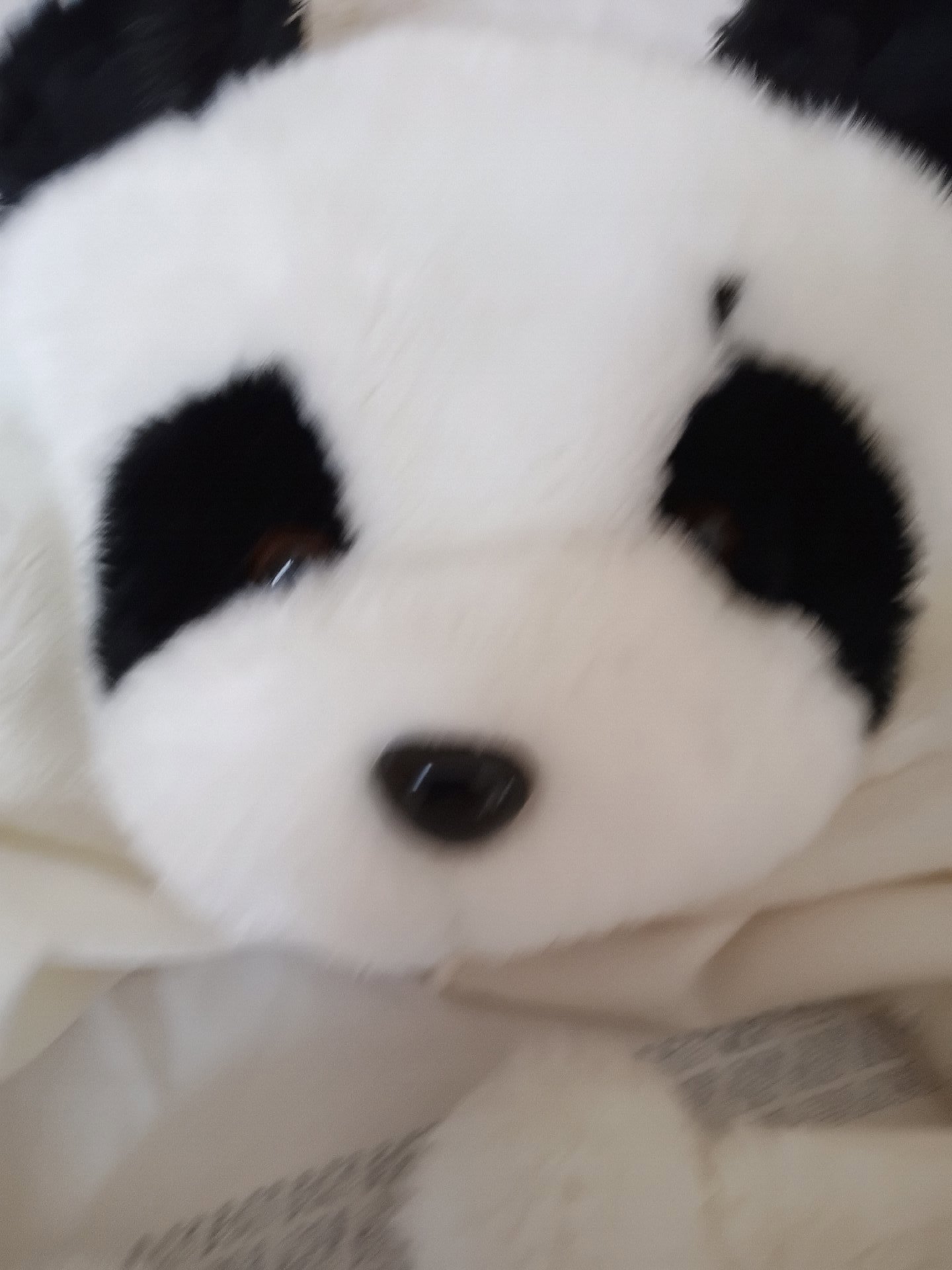 Panda Design Plush Winter Hat One Size, DSL, M, Excellent condition — preloved on SilentSale®