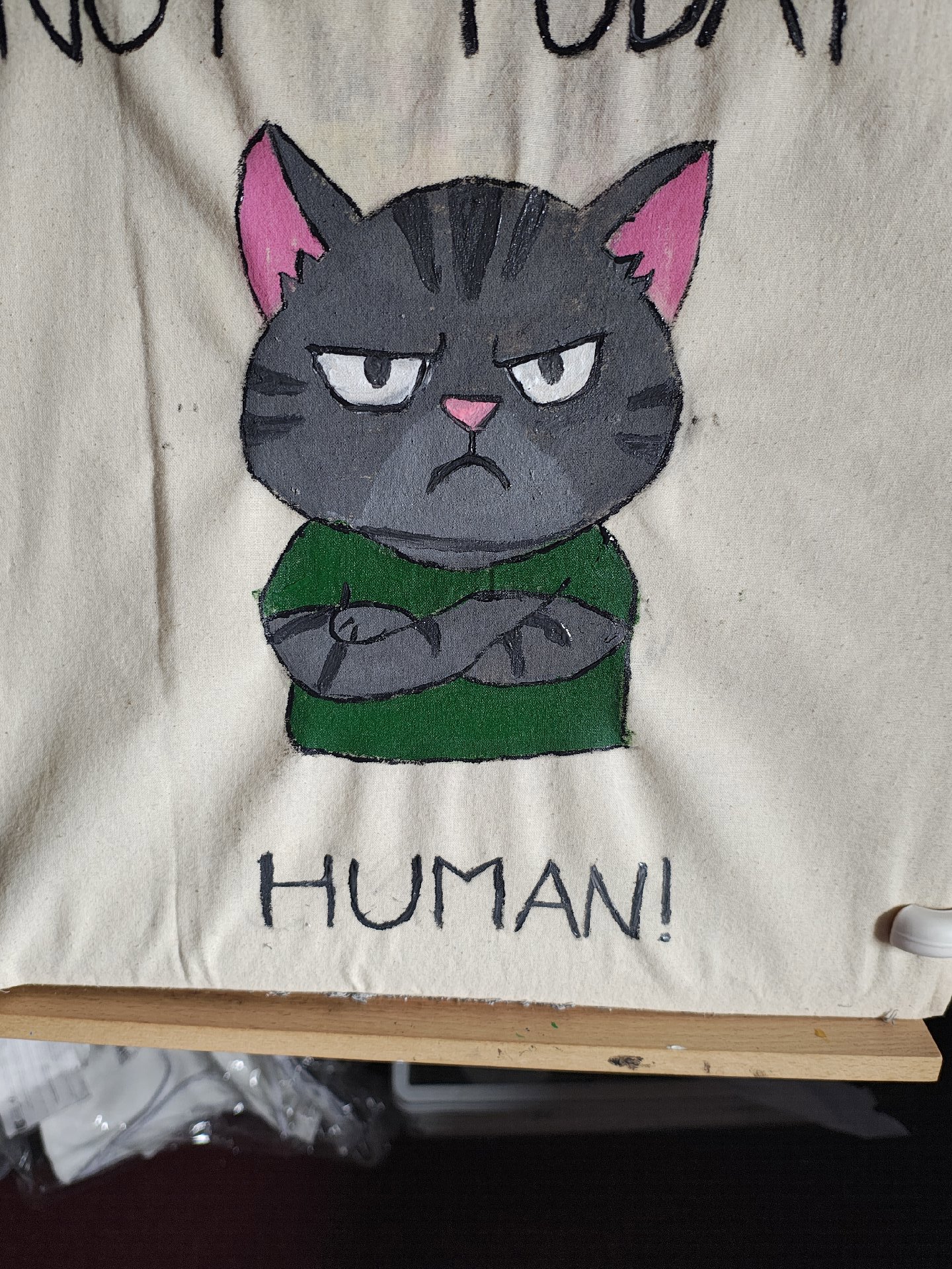 Grumpy cat tote bag , Unbranded, Medium, Excellent condition — preloved on SilentSale®