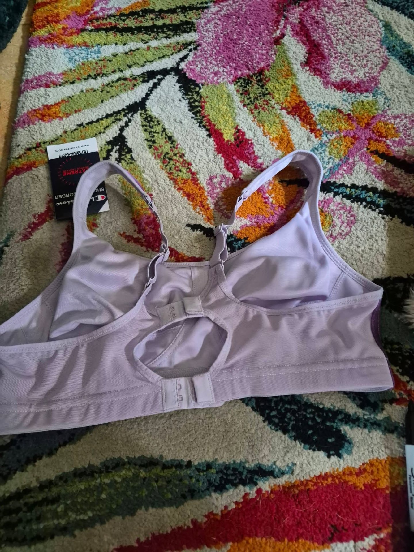 Champion Purple Shock Absorber Sports Bra – 36B, Champion, 36B, New condition — preloved on SilentSale®