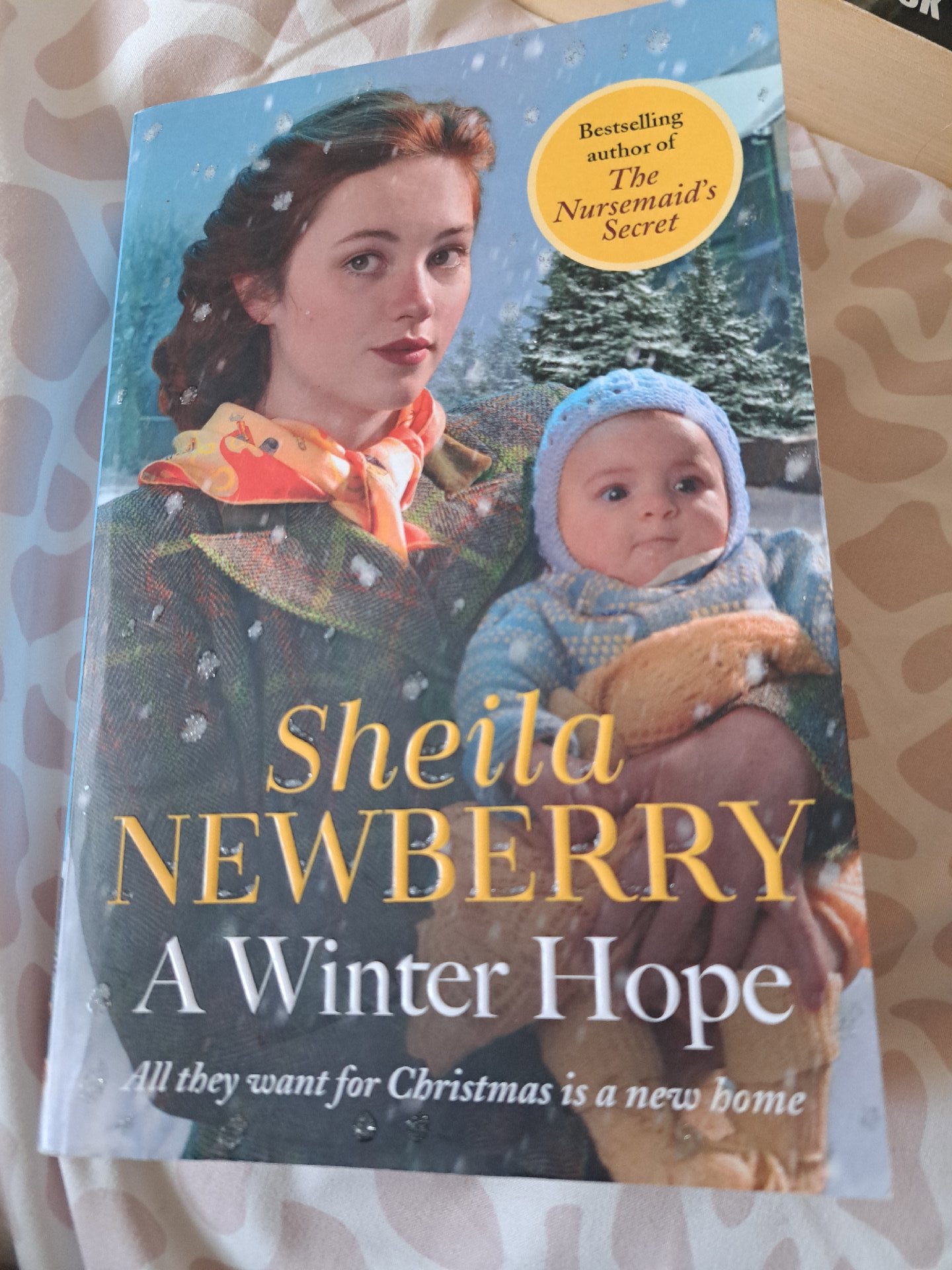 Sheila Newbu6 A Winter Hope paperback book, Hope, Paperback, Good condition — preloved on SilentSale®
