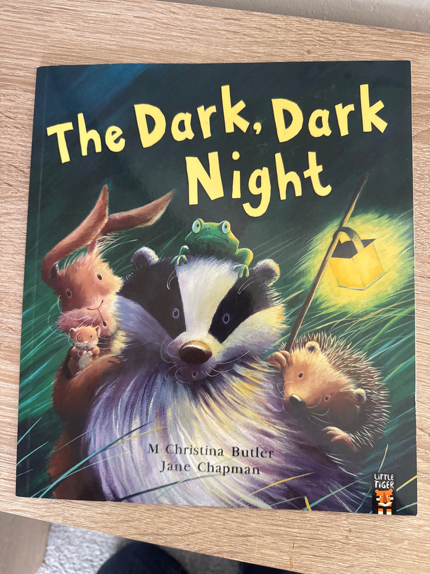 The Dark, Dark Night Children's Picture Book, Unbranded, One Size, Good condition — preloved on SilentSale®