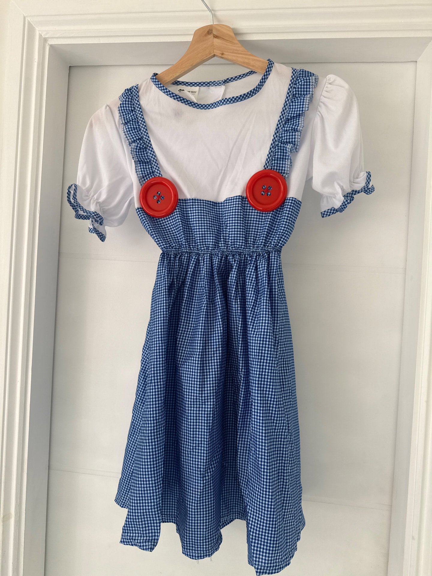 Blue Gingham Fancy Dress Costume – Size M, I Love Fancy Dress, 9-10 years, Good condition — preloved on SilentSale®