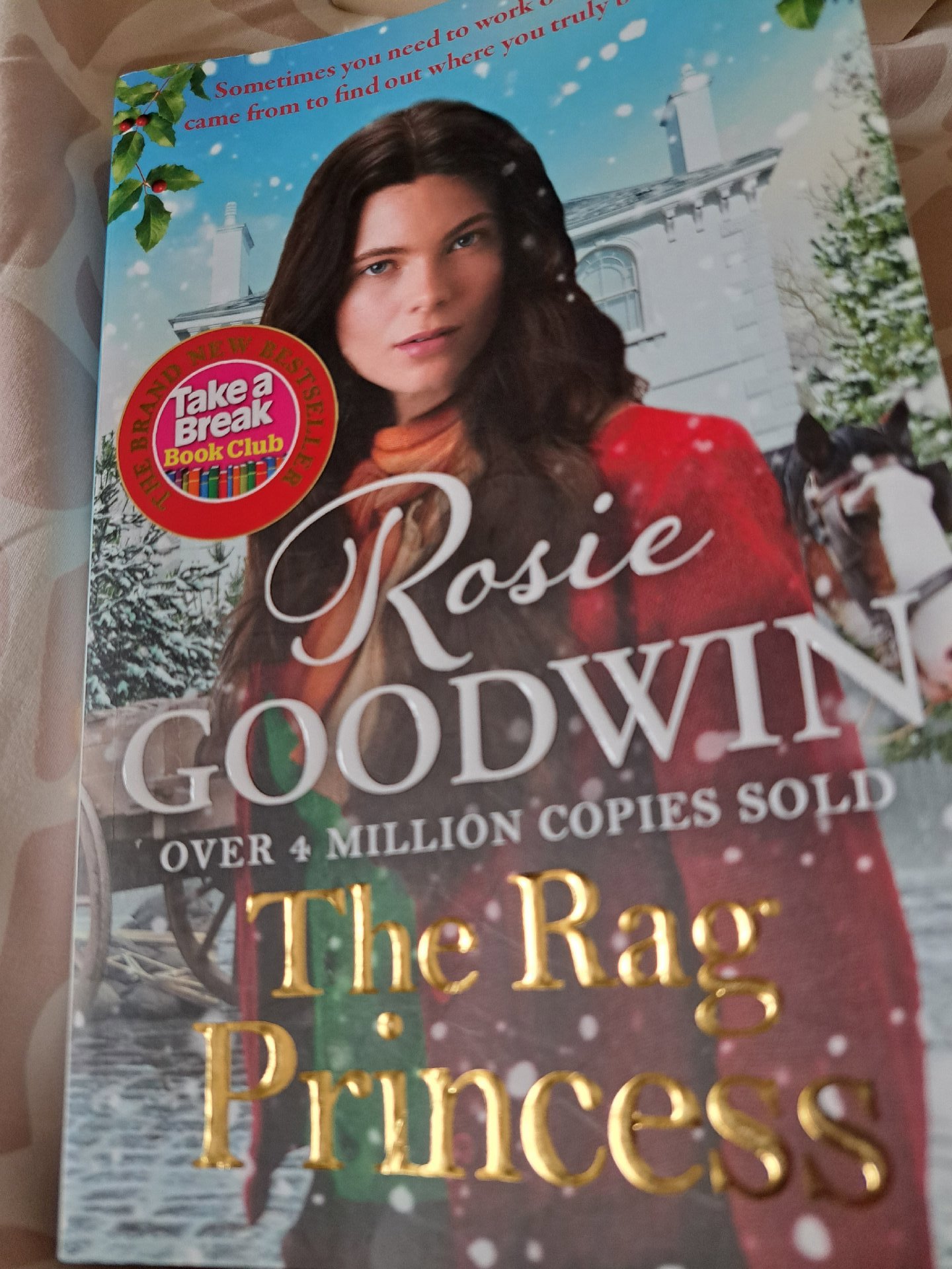 Rosie Goodwin The Rag Princess Paperback Book, Unbranded, One Size, Excellent condition — preloved on SilentSale®