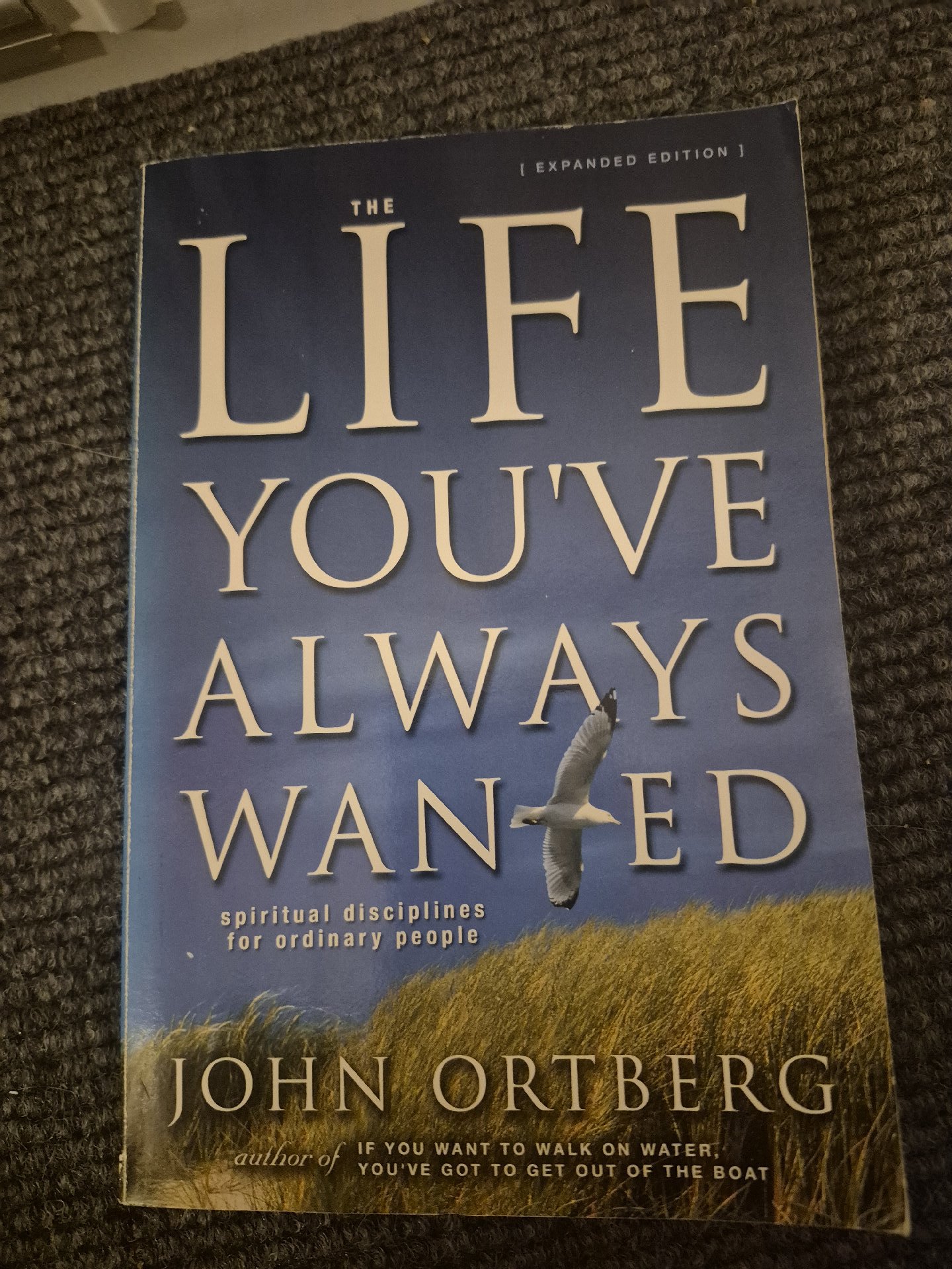 The life you've always wanted — John Ortberg, Zondervan, One Size, Like New condition — preloved on SilentSale®