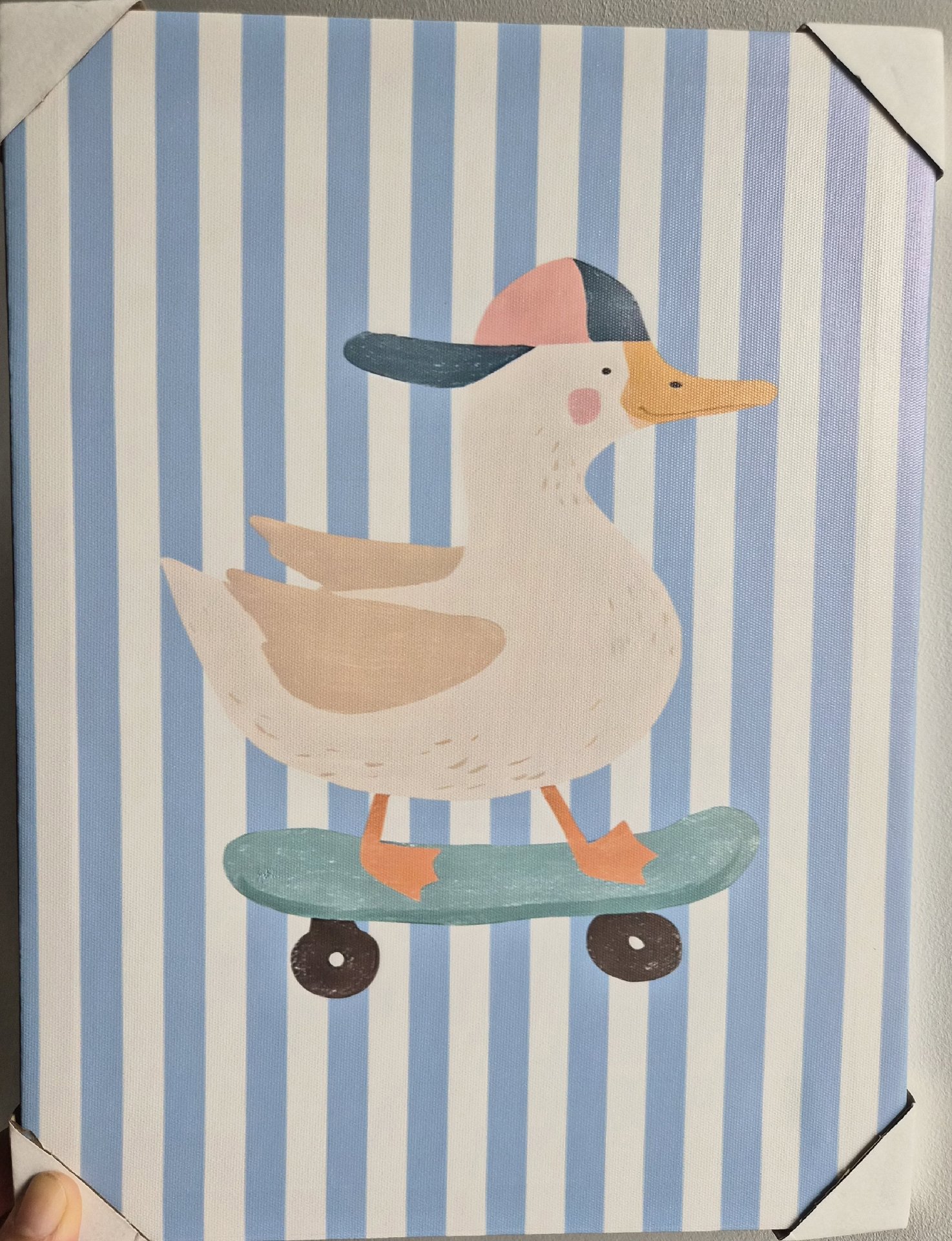 Duck On Skateboard Wall Art Canvas Print, Unbranded, Medium, New condition — preloved on SilentSale®