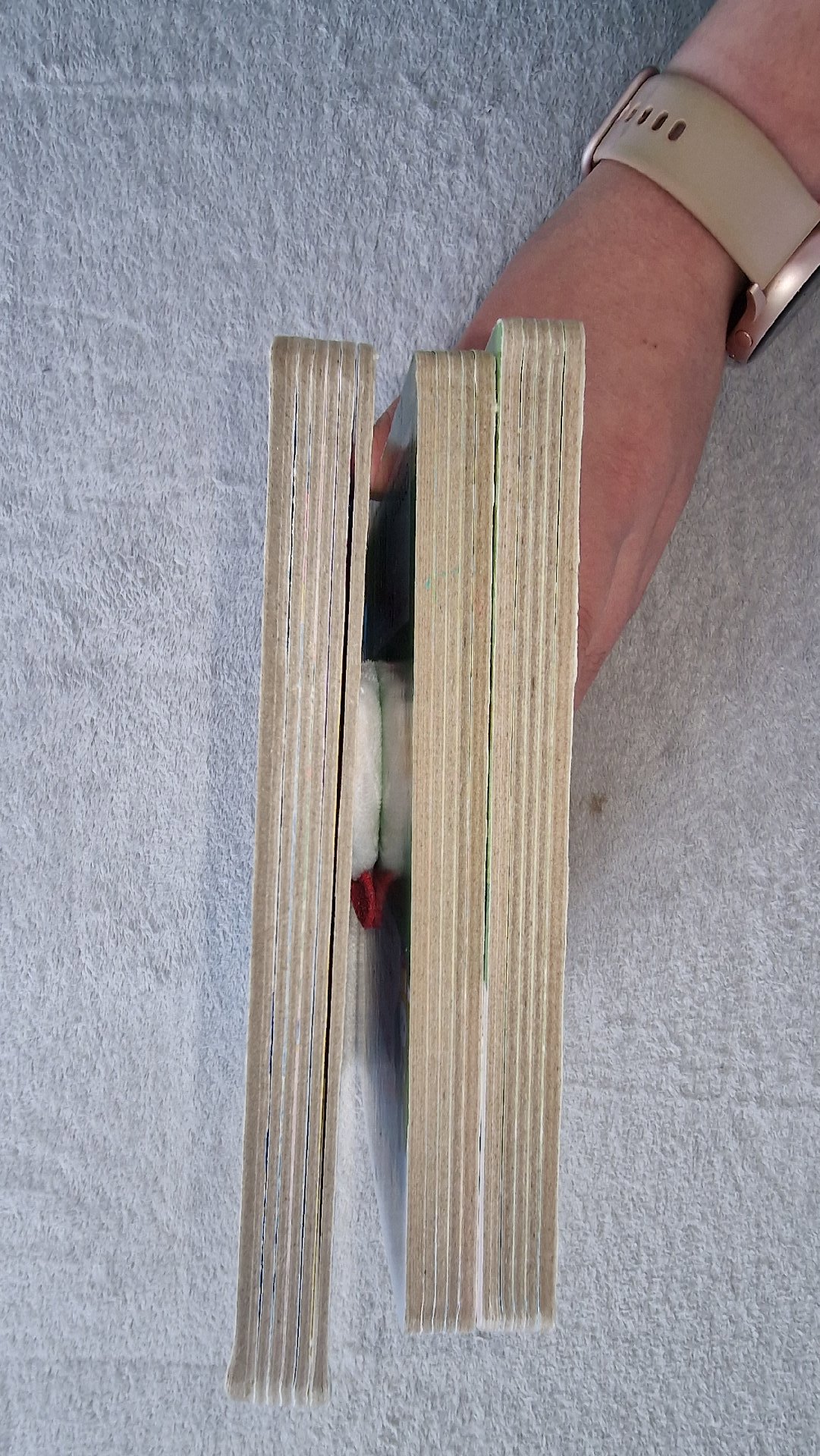 Set of 3 Igloo Books Finger Puppet Board Books, Igloo Books, 2 years, Excellent condition — preloved on SilentSale®