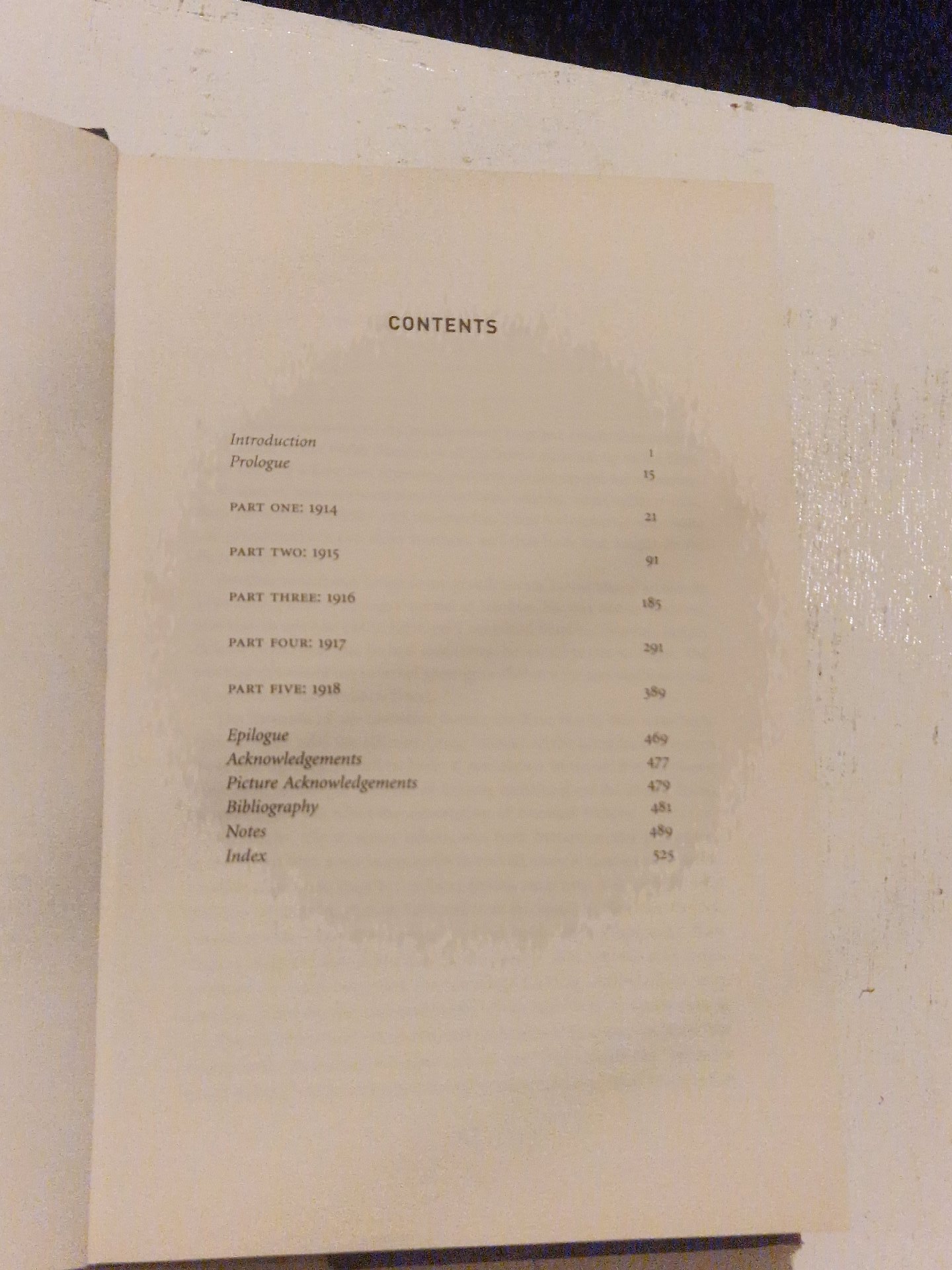 100 Days to Victory by Saul David, Unbranded, Hardback, Excellent condition — preloved on SilentSale®