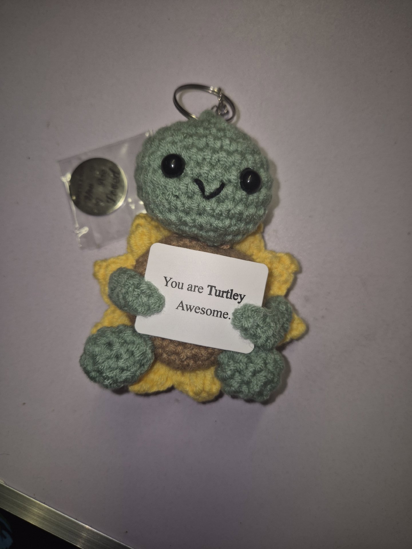 Crochet Turtle Keyring with 'You are Turtley Awesome' Sign, Unbranded, One Size, Excellent condition — preloved on SilentSale®