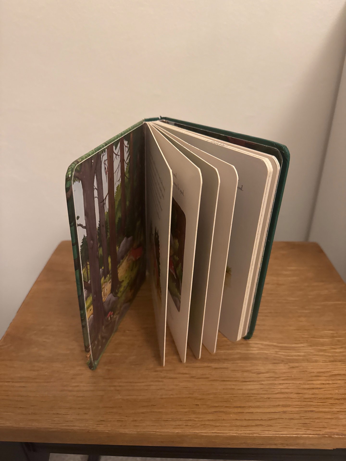 The Gruffalo by Julia Donaldson and Axel Scheffler Hardcover Book, Donaldson, One Size, Good condition — preloved on SilentSale®