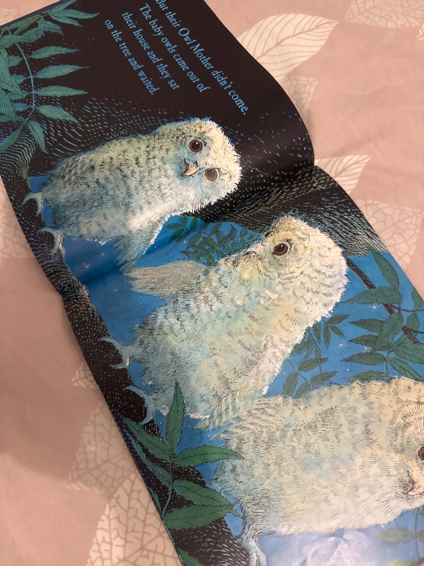 Owl Babies — Martin Waddell, Walker, One Size, Excellent condition — preloved on SilentSale®