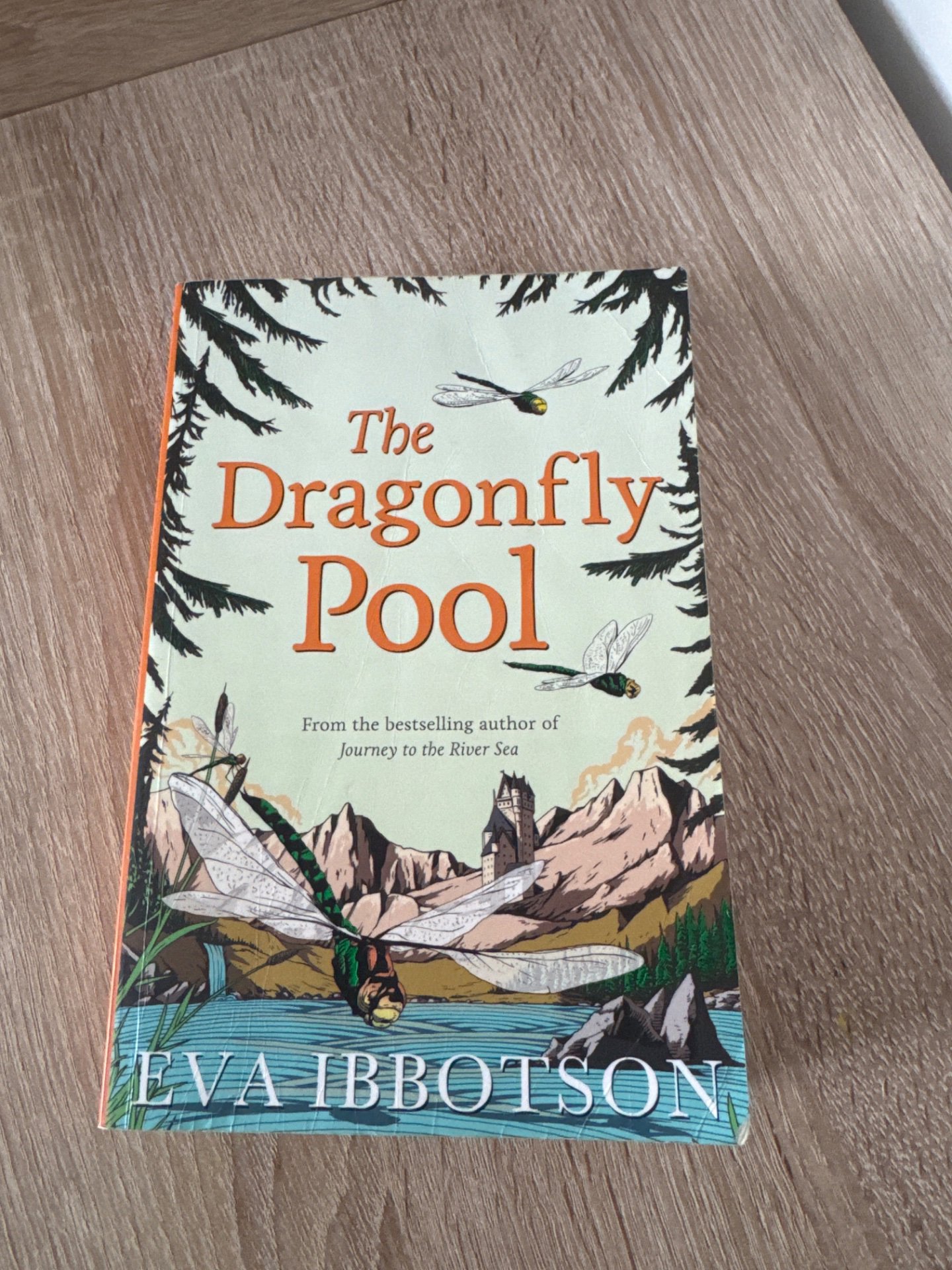 The Dragonfly Pool — Eva Ibbotson, Pan Macmillan, One Size, Excellent condition — preloved on SilentSale®