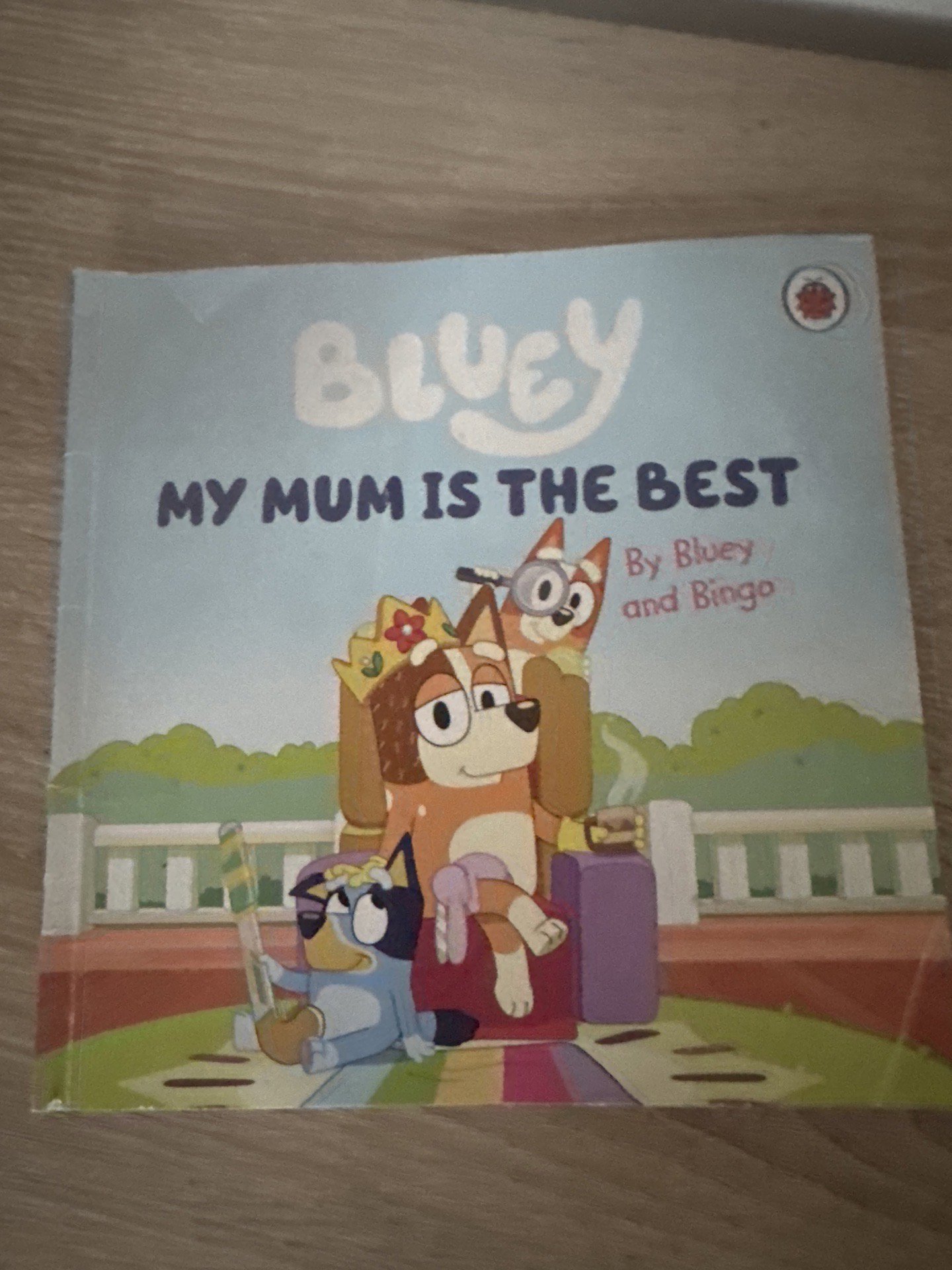 Bluey My Mum Is The Best Children's Book, Unbranded, One Size, Excellent condition — preloved on SilentSale®