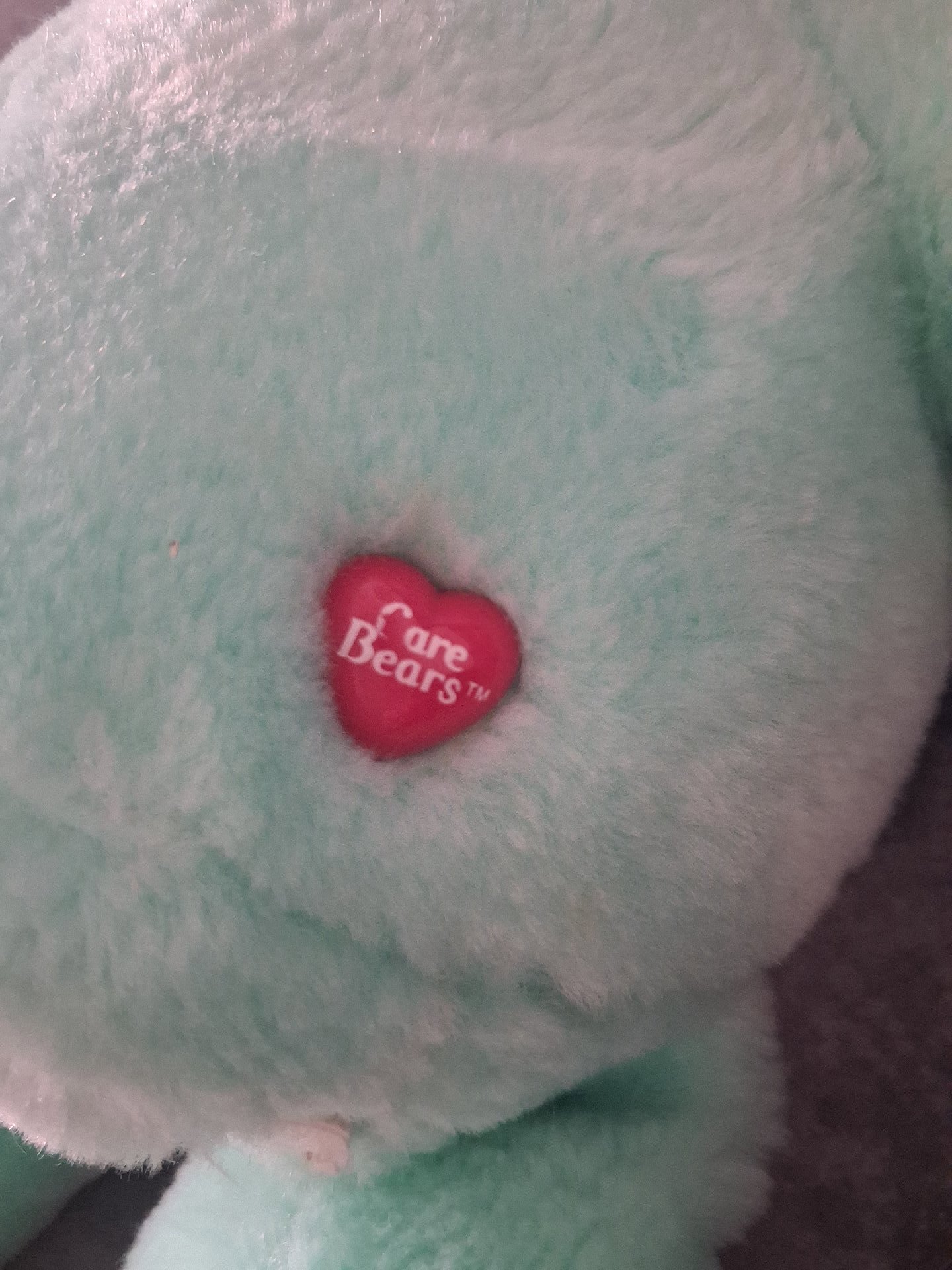 'WISH BEAR' Care Bears Plush Soft Toy Green Bear with Rainbow Heart, Care Bears, One Size, Good condition — preloved on SilentSale®