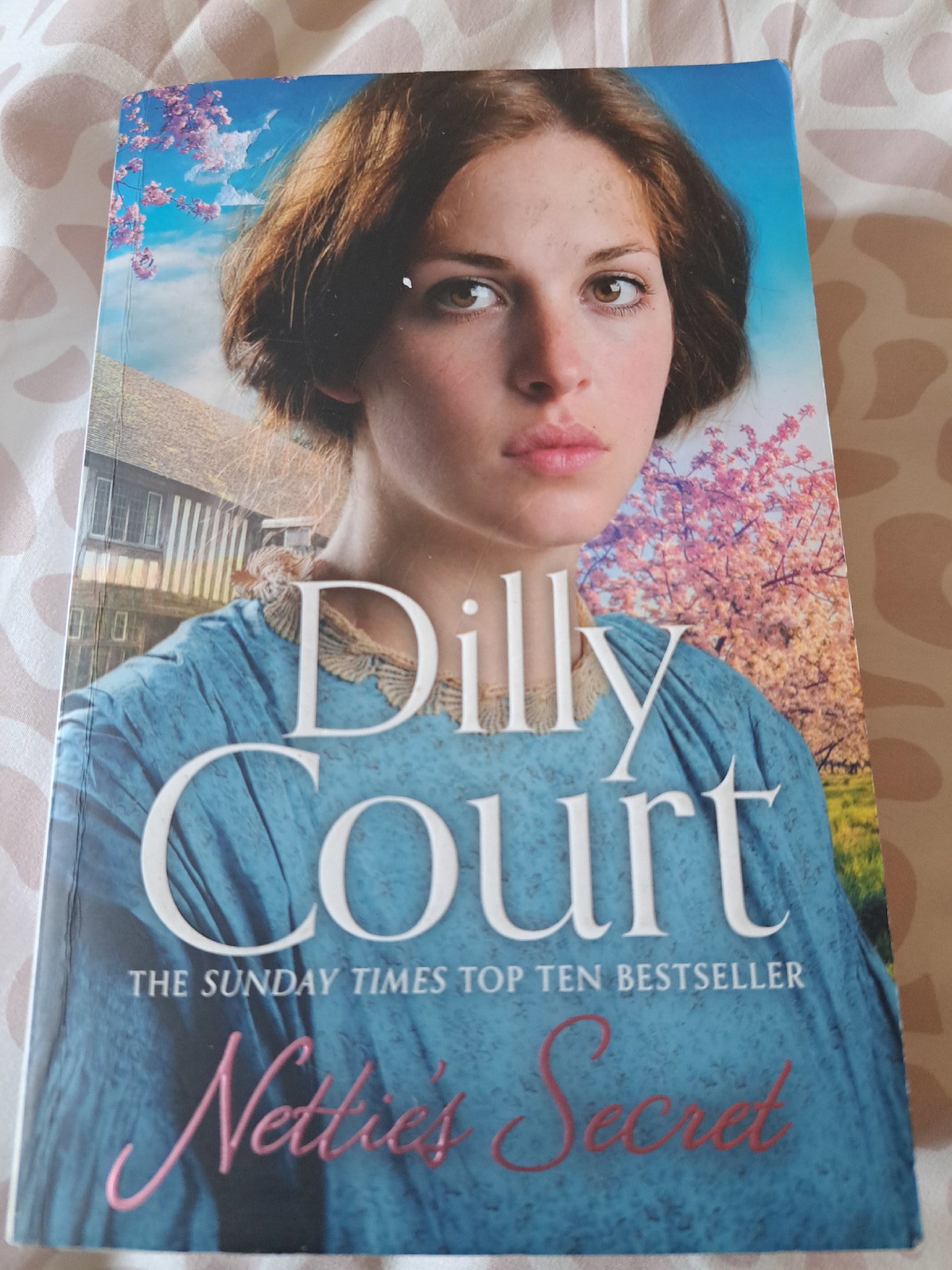 Nettie's Secret — Dilly Court, HarperCollins Publishers Limited, One Size, Excellent condition — preloved on SilentSale®