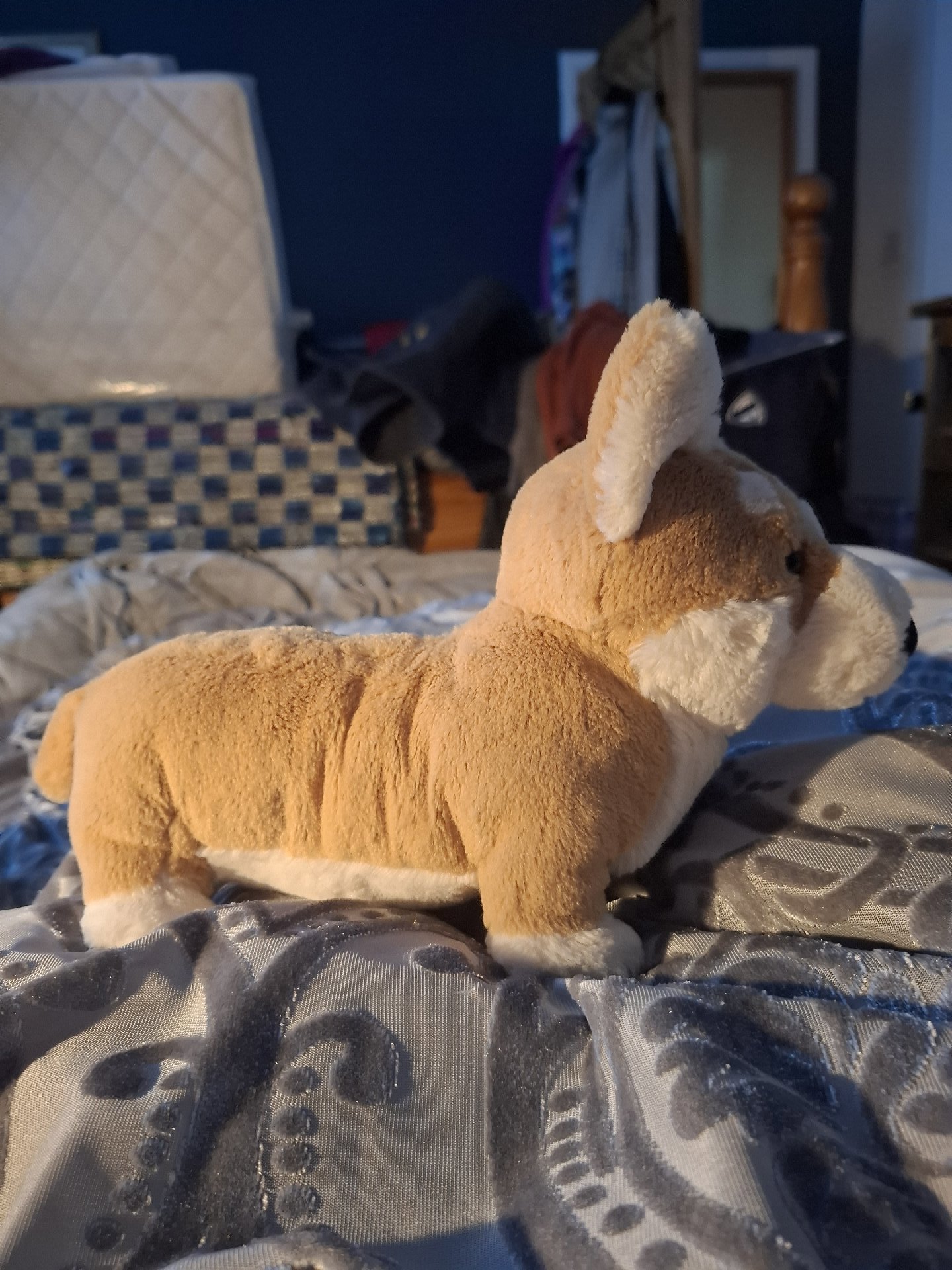 Jellycat Plush Corgi Dog Soft Toy, Jellycat, 2 years, Excellent condition — preloved on SilentSale®