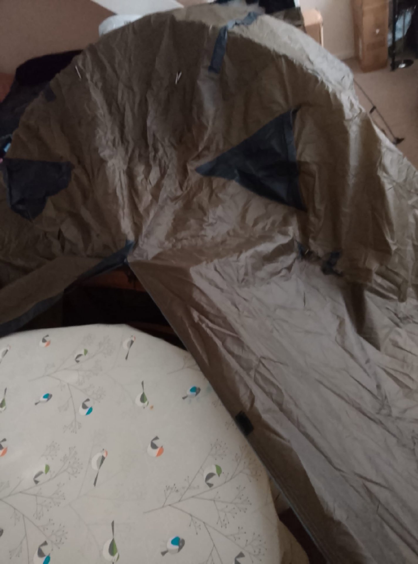 Forceatt Green Camping Tent with Poles and Pegs, Forceatt, One Size, New condition — preloved on SilentSale®
