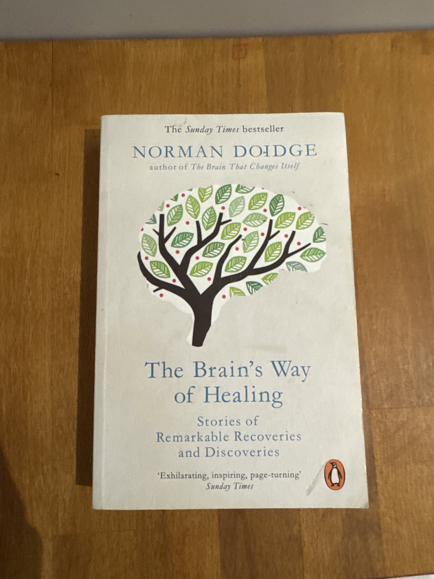 Brain's Way of Healing — Norman Doidge, Penguin Books, Limited, One Size, Good condition — preloved on SilentSale®