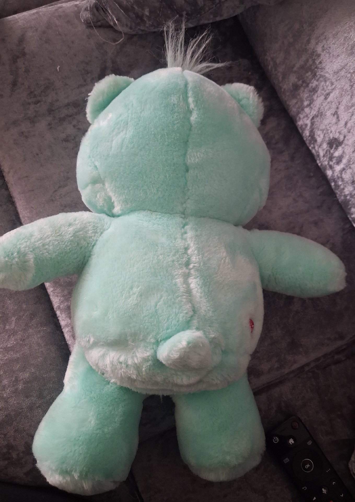'WISH BEAR' Care Bears Plush Soft Toy Green Bear with Rainbow Heart, Care Bears, One Size, Good condition — preloved on SilentSale®