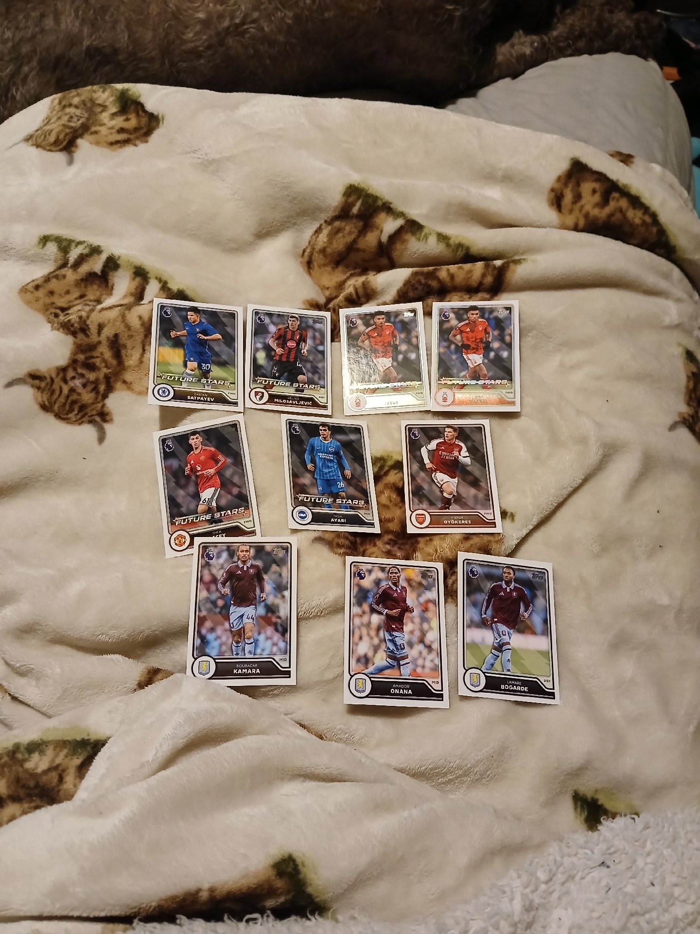 Topps Premier League Football Trading Cards Collection, Topps, One Size, Good condition — preloved on SilentSale®