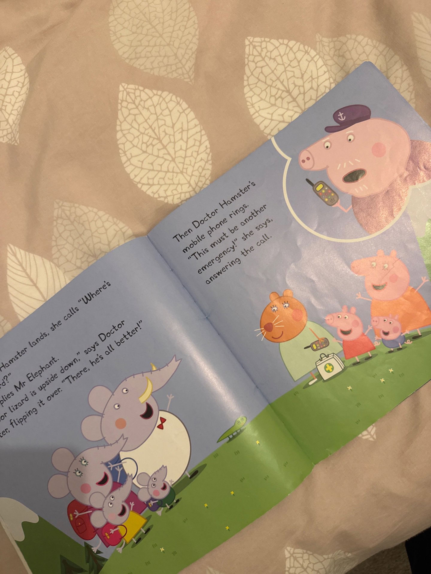 Peppa and the Flying Vet, Ladybird, One Size, Good condition — preloved on SilentSale®