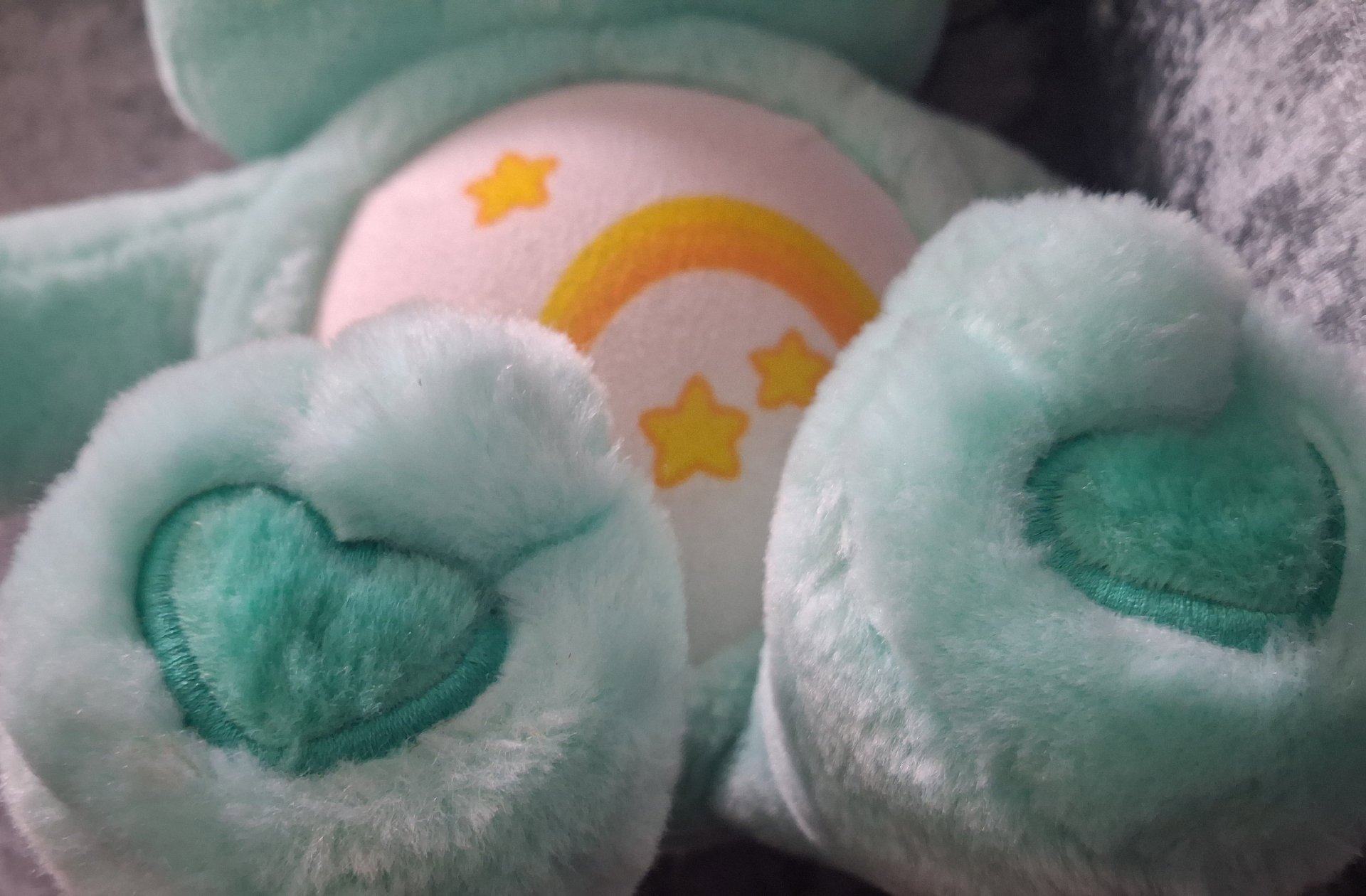 'WISH BEAR' Care Bears Plush Soft Toy Green Bear with Rainbow Heart, Care Bears, One Size, Good condition — preloved on SilentSale®